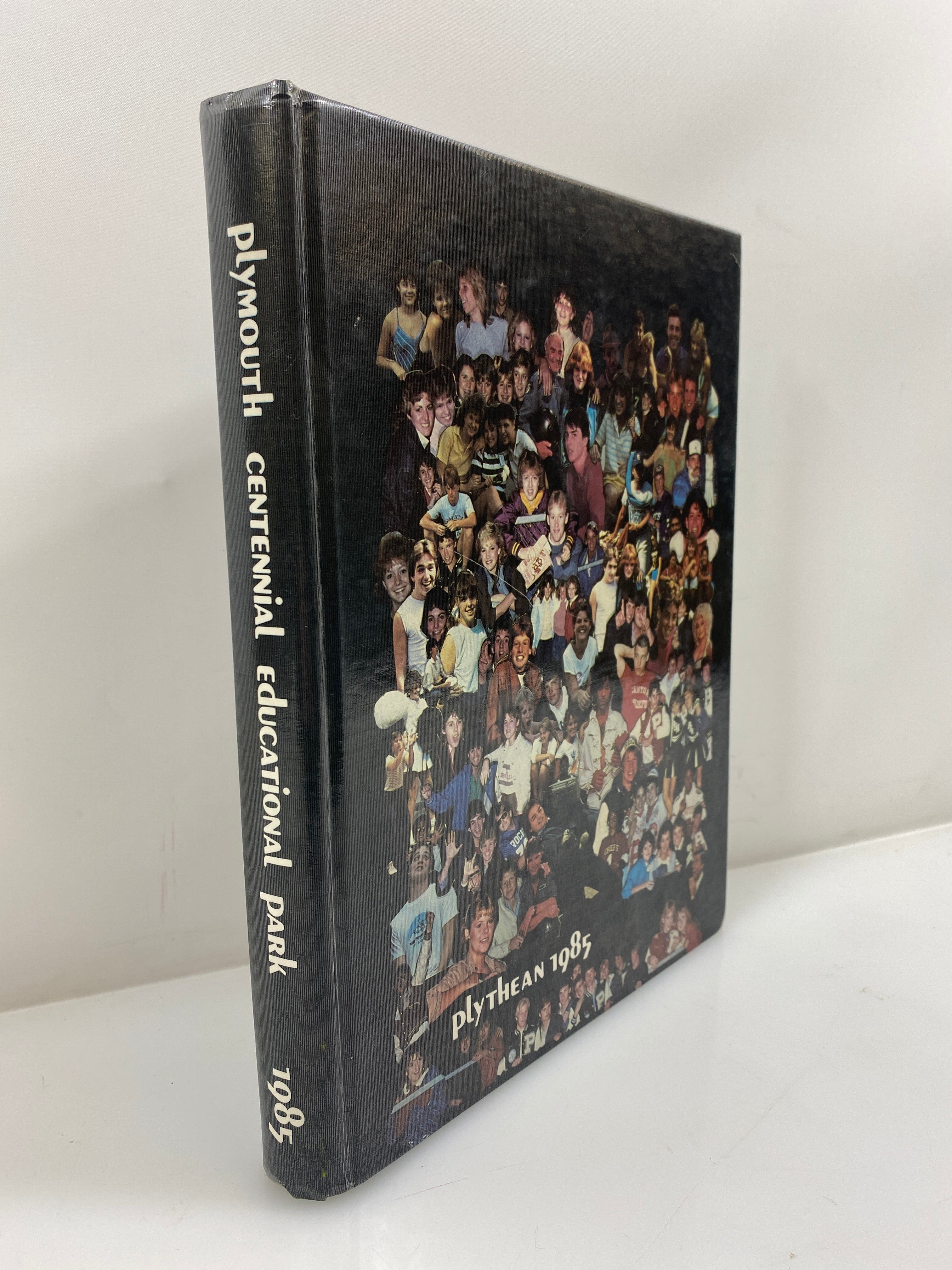 1985 Canton & Salem High Schools Yearbook Canton Michigan HC