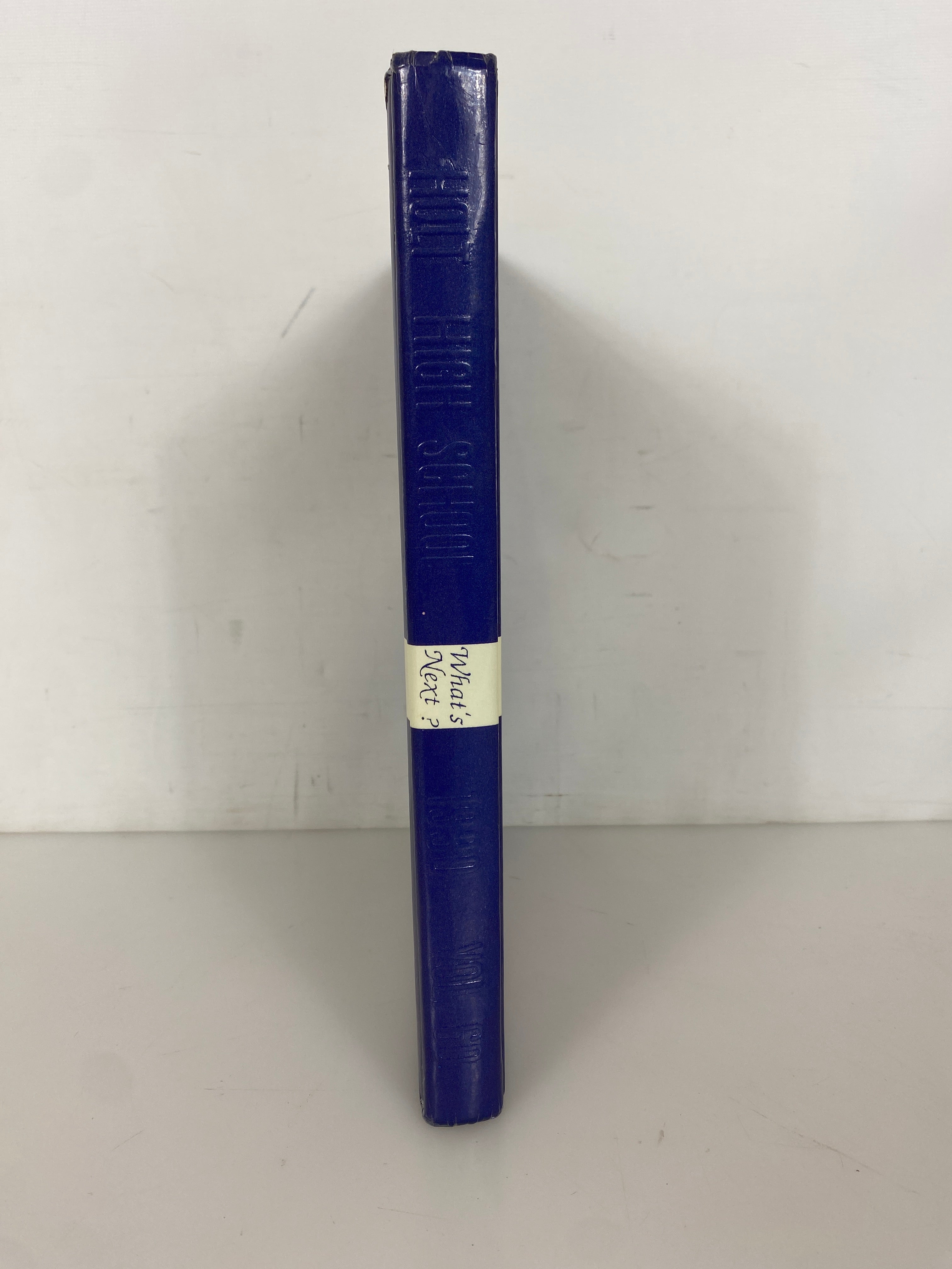 1990 Holt High School Yearbook "Rampages" Holt Michigan HC