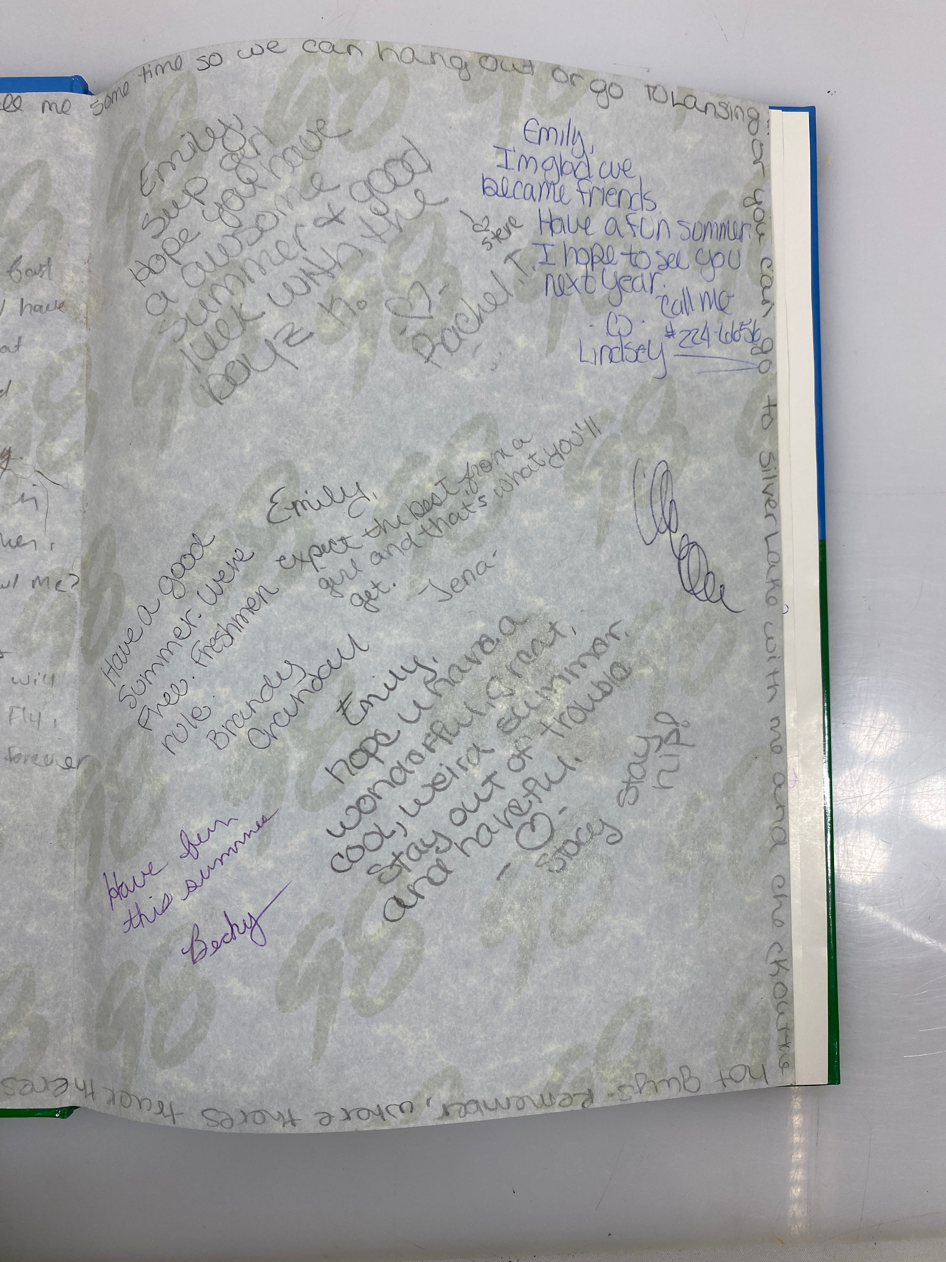 1998 Rodney B Wilson Middle School Yearbook St. Johns Michigan HC