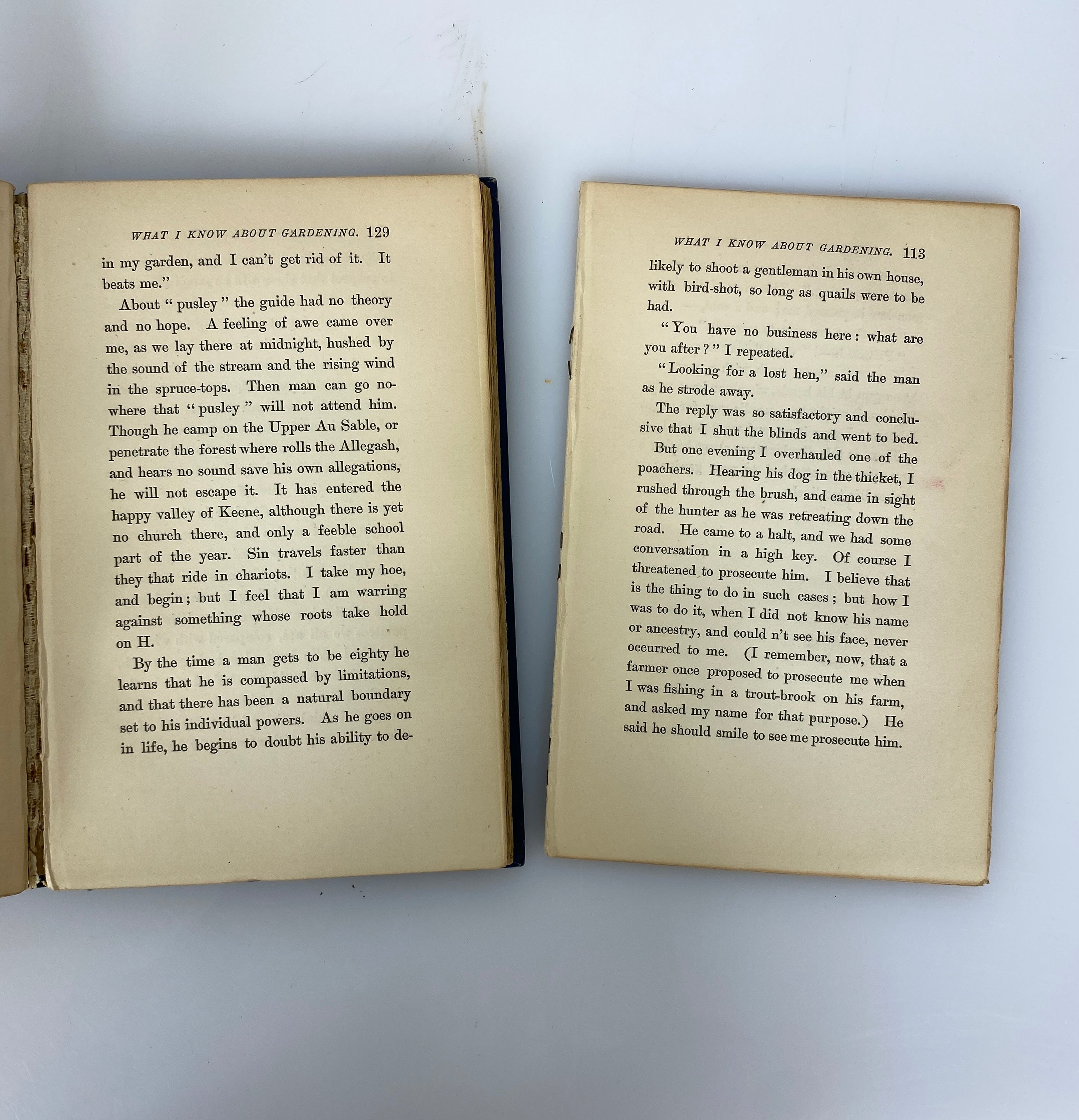 2 Antique Charles Dudley Warner: My Summer in a Garden/Back Log Studies 1885-86