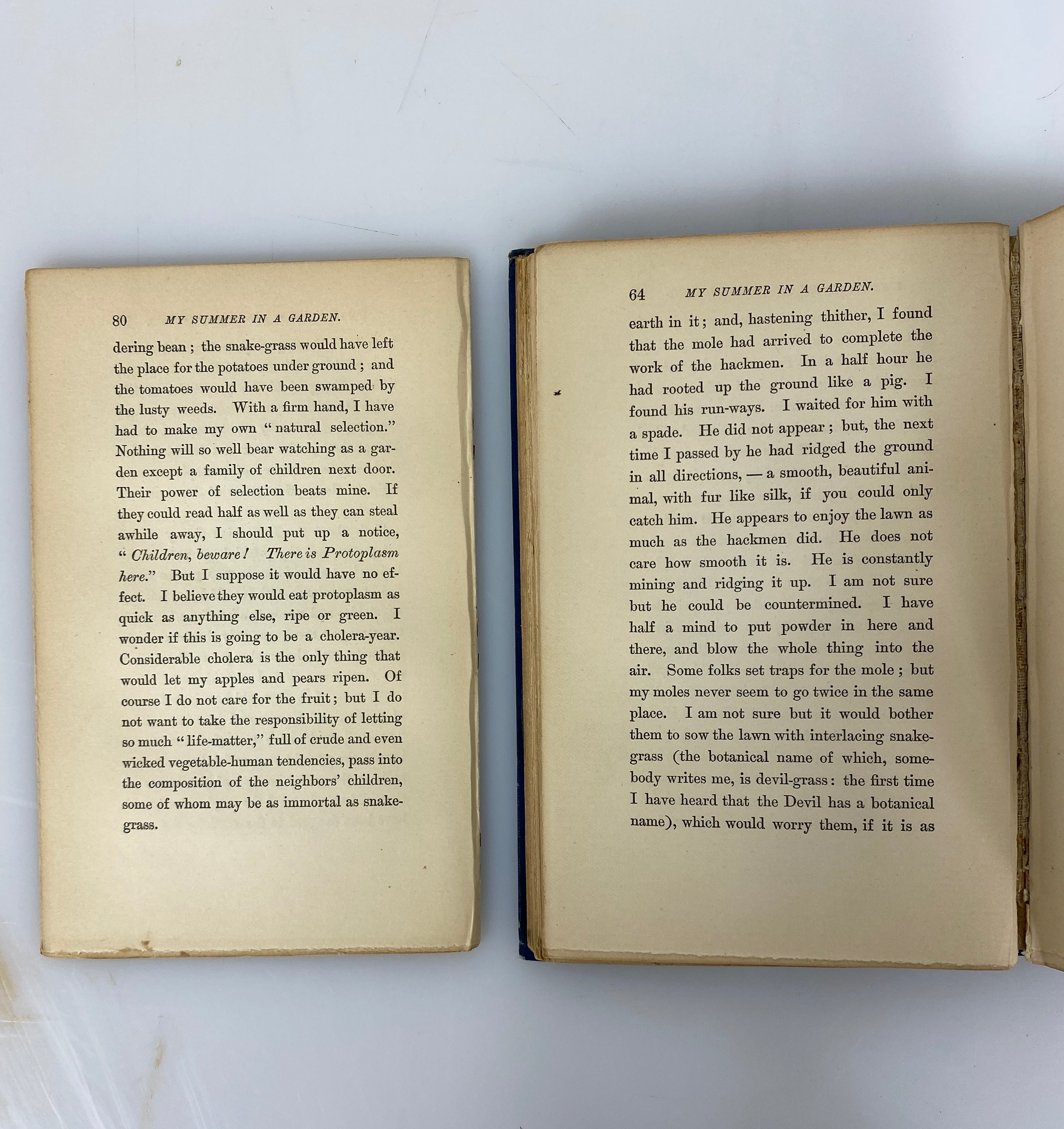 2 Antique Charles Dudley Warner: My Summer in a Garden/Back Log Studies 1885-86