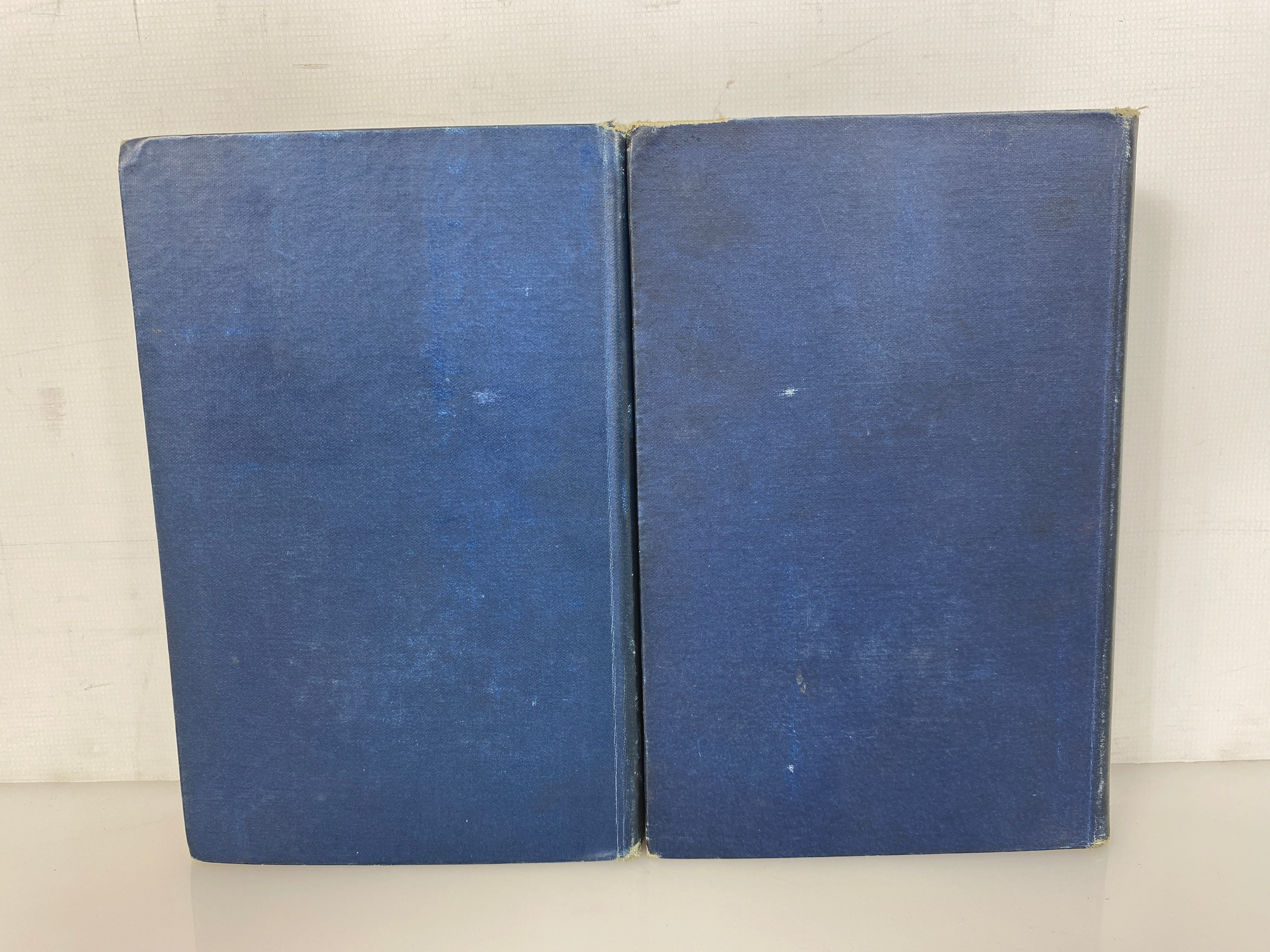 2 Antique Charles Dudley Warner: My Summer in a Garden/Back Log Studies 1885-86