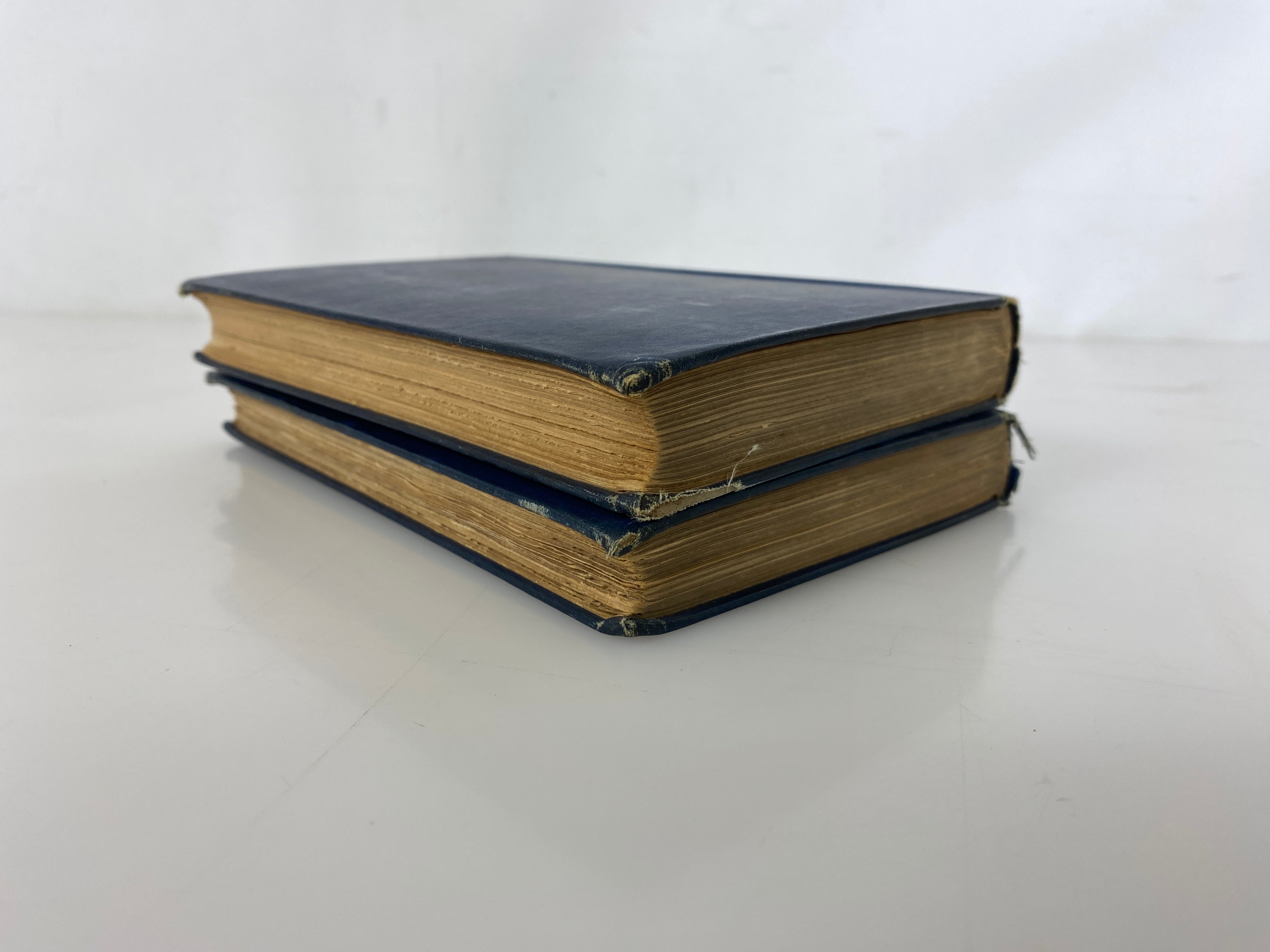 2 Antique Charles Dudley Warner: My Summer in a Garden/Back Log Studies 1885-86