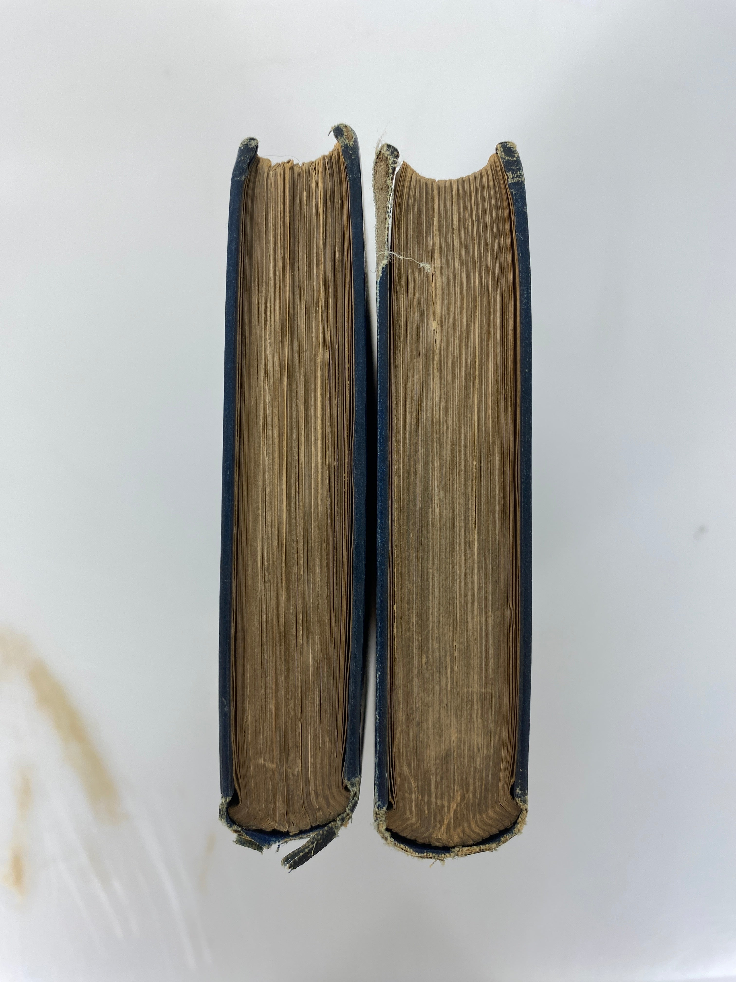 2 Antique Charles Dudley Warner: My Summer in a Garden/Back Log Studies 1885-86