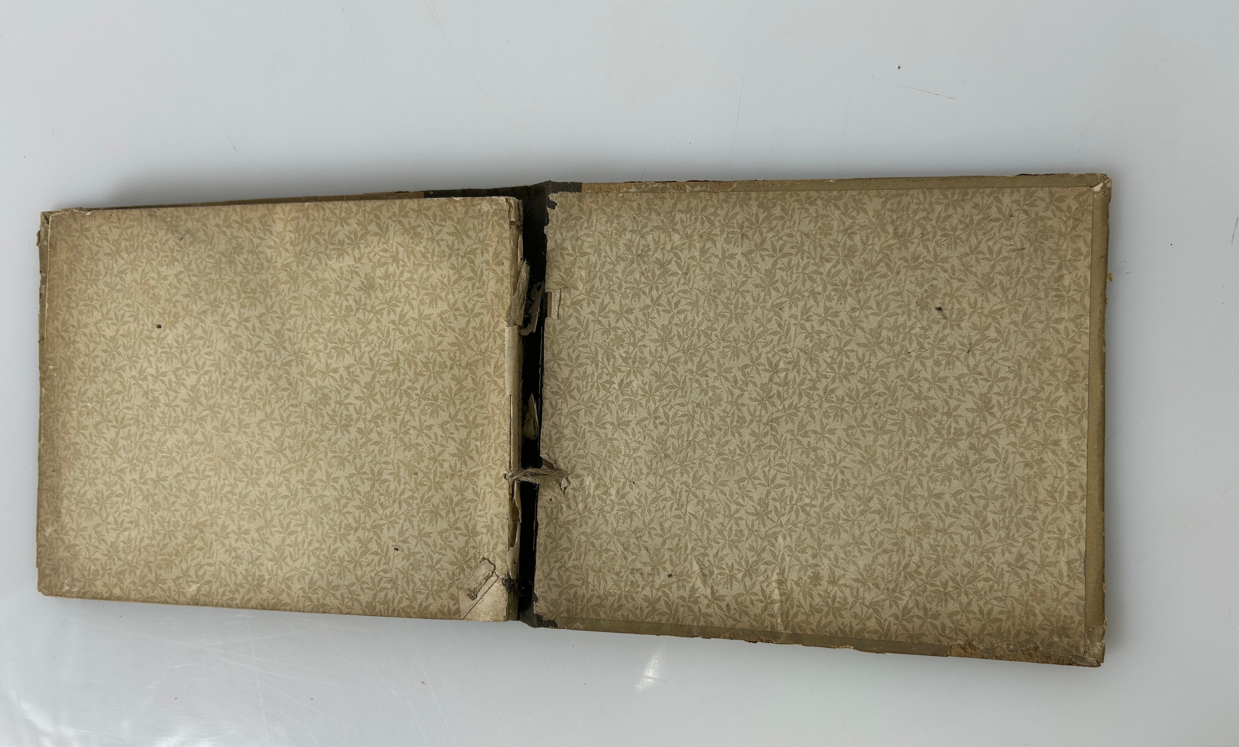 2 Antique Hymnals ~1880s HC~ Sunday School