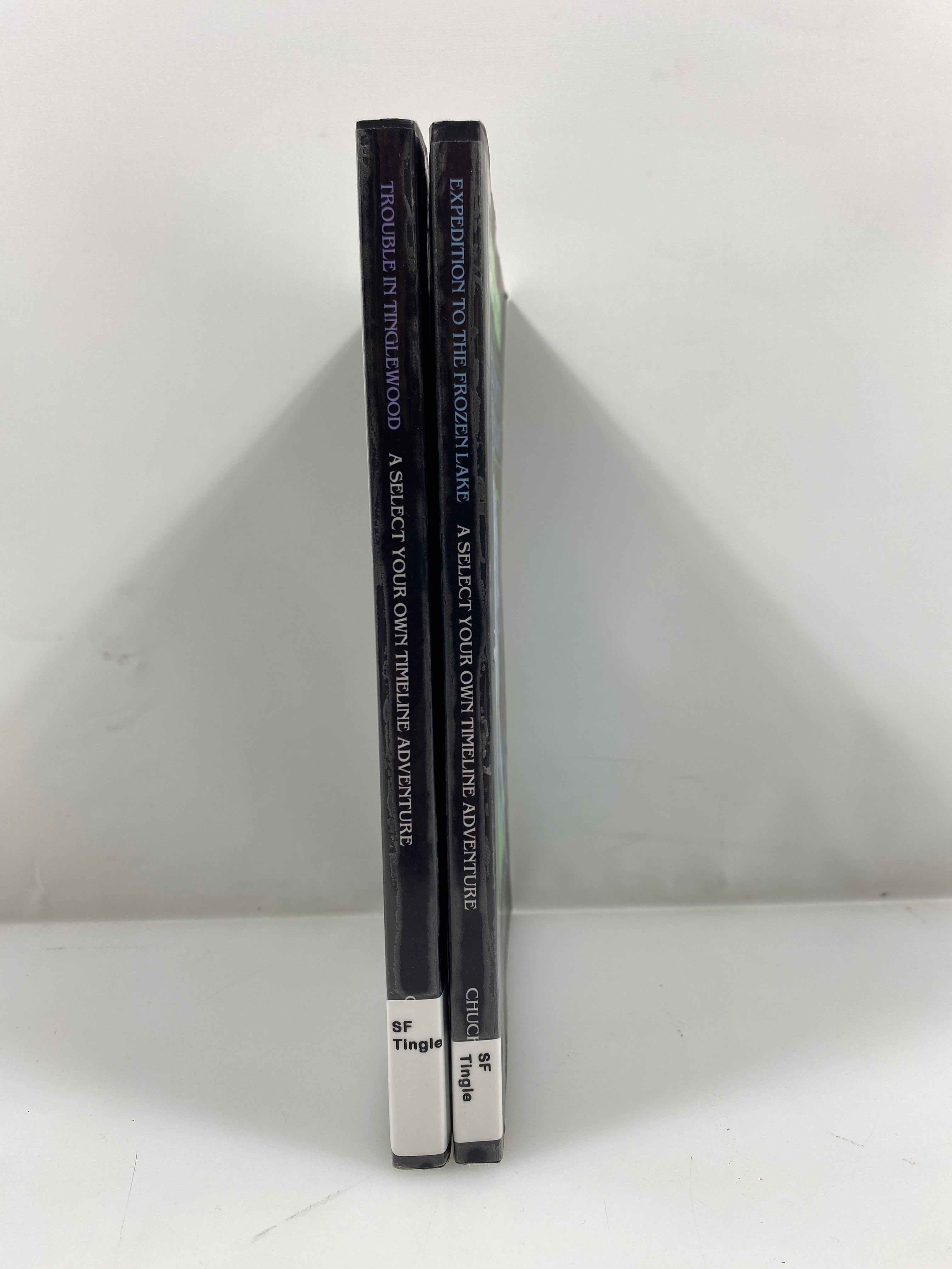 2 Chuck Tingle Select Your Own Adventure Tinglewood & Frozen Lake Ex-Library SC