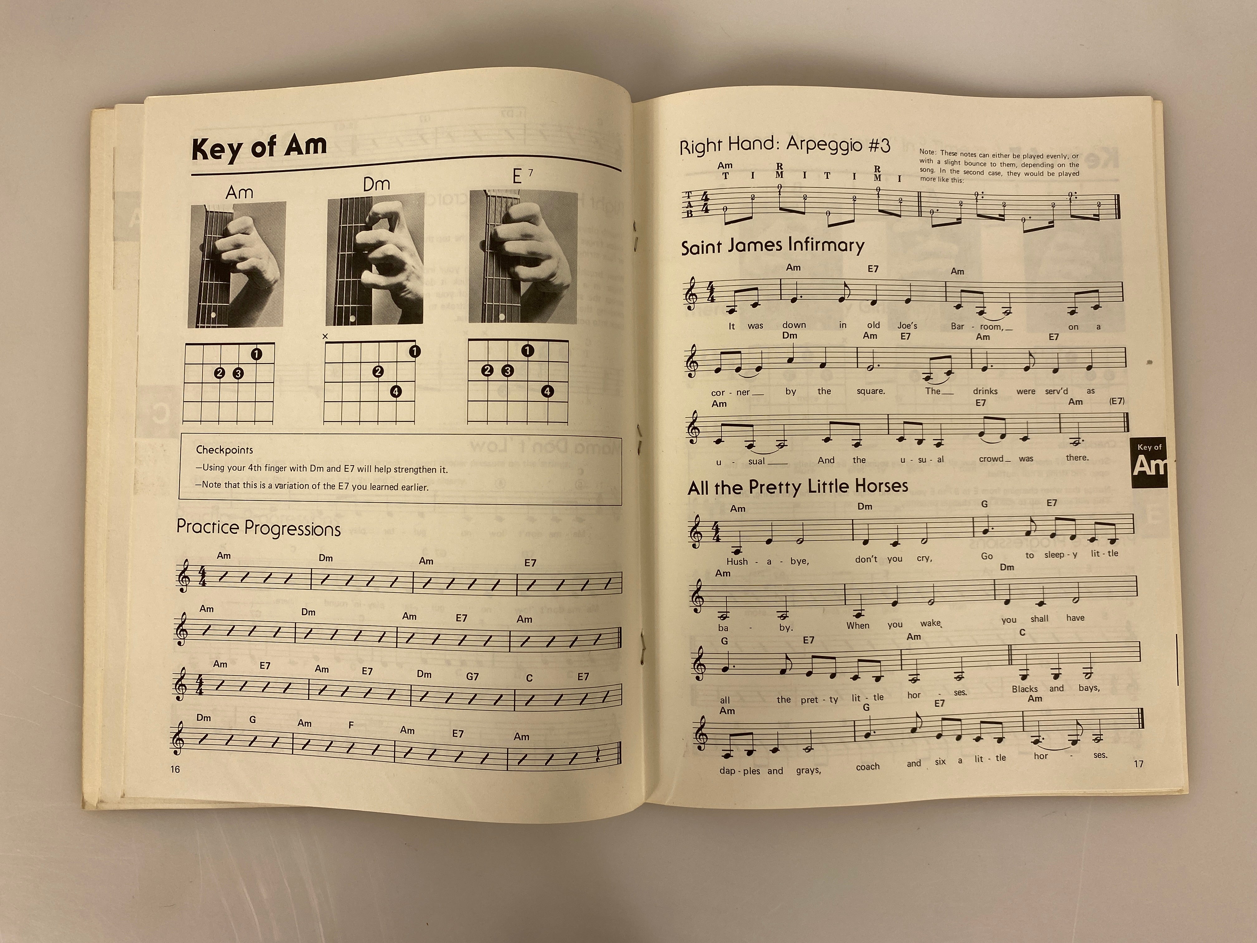 2 Vintage Guitar Books: Blues/Folk Picture Chords & How to Use Them 1978 SC