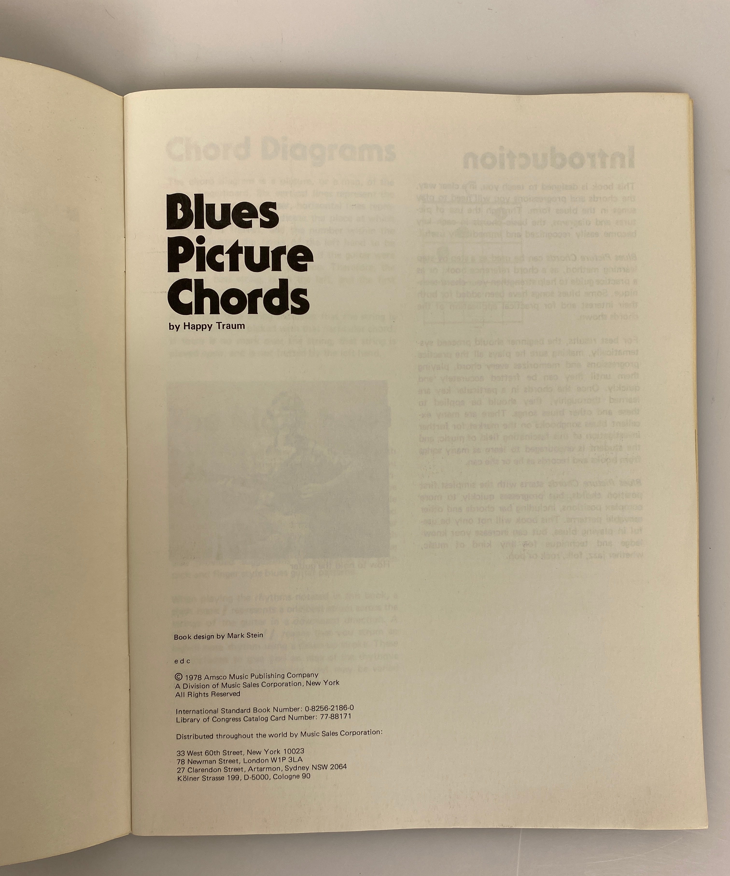 2 Vintage Guitar Books: Blues/Folk Picture Chords & How to Use Them 1978 SC