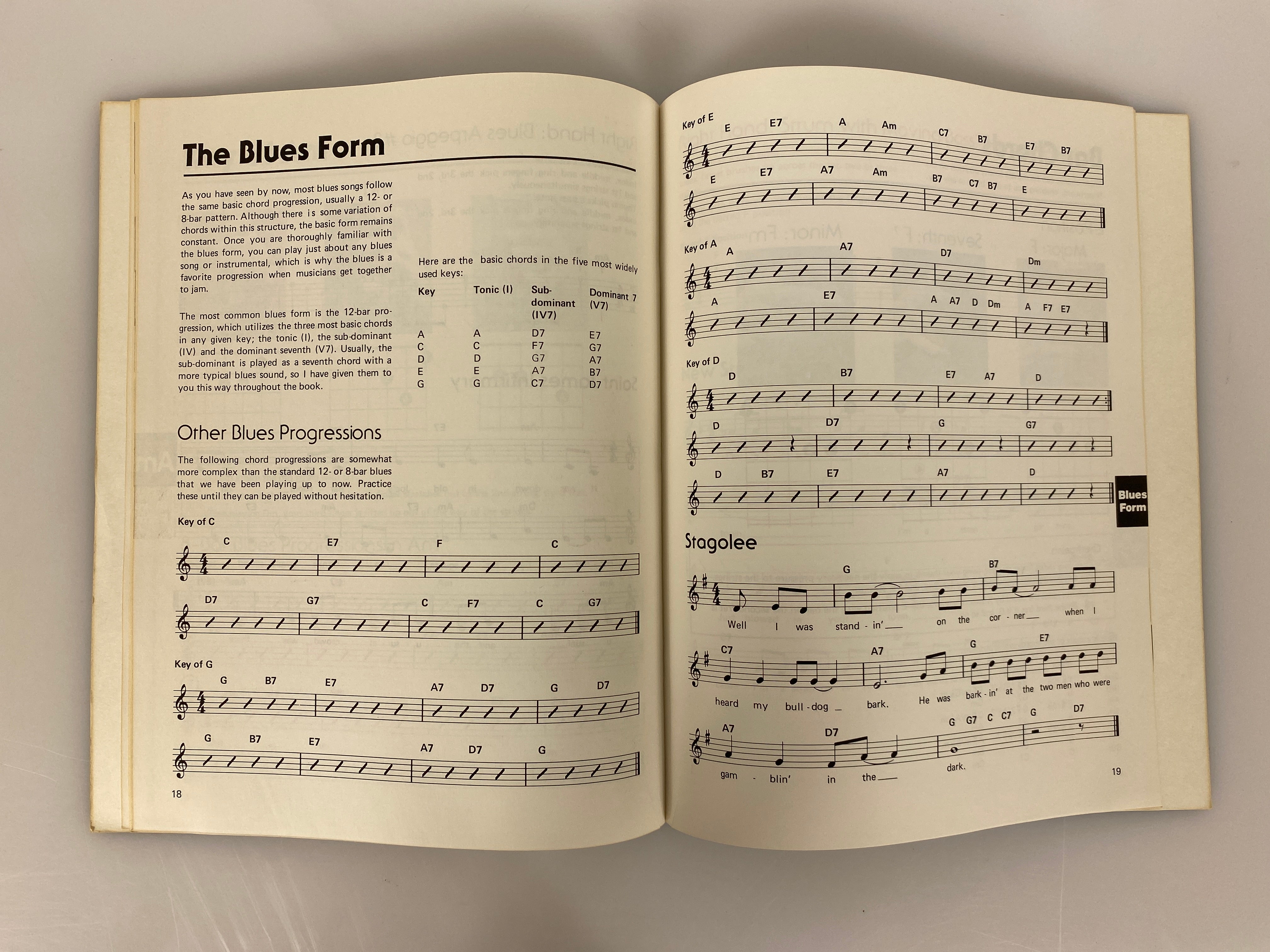 2 Vintage Guitar Books: Blues/Folk Picture Chords & How to Use Them 1978 SC