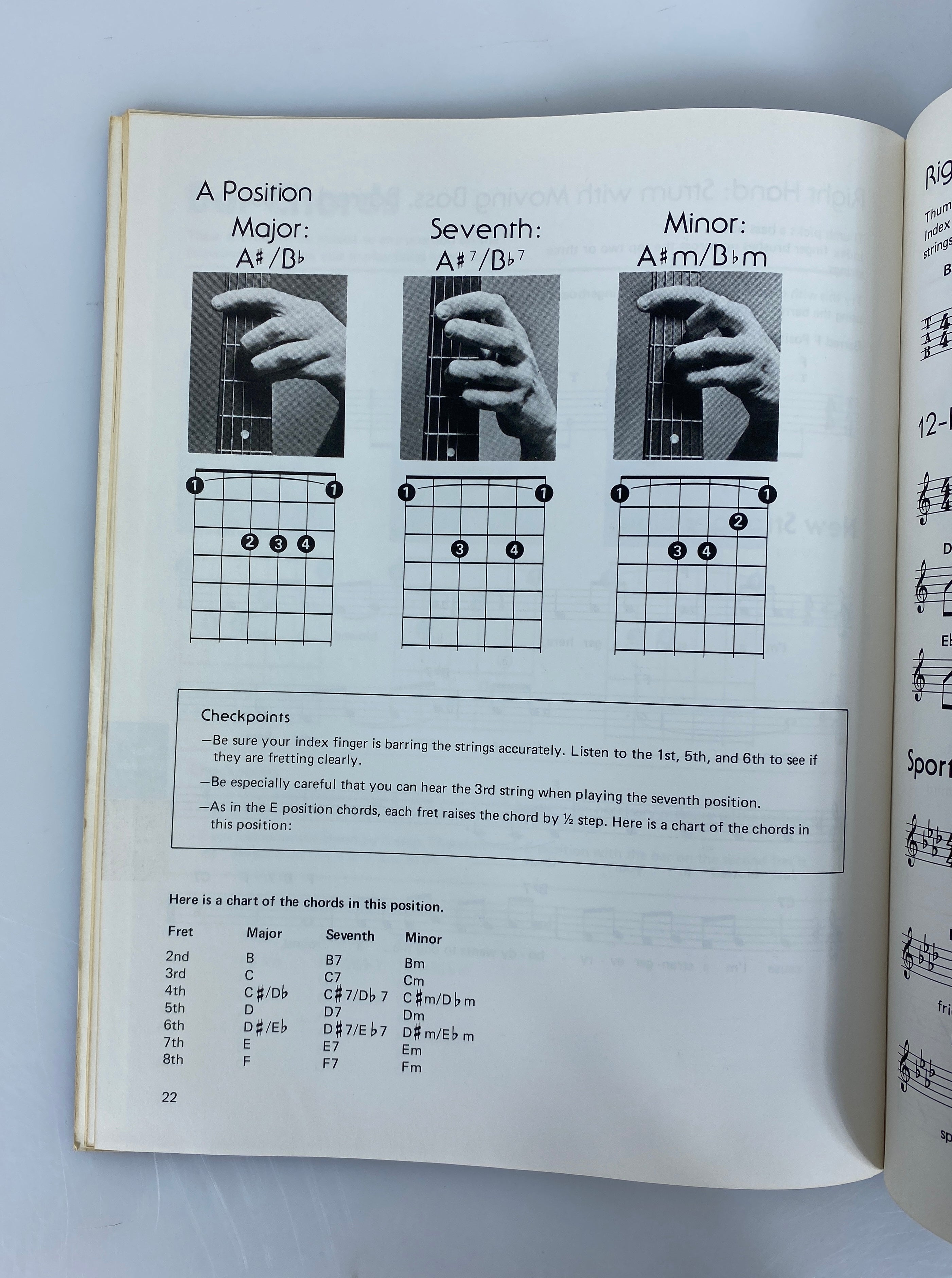 2 Vintage Guitar Books: Blues/Folk Picture Chords & How to Use Them 1978 SC
