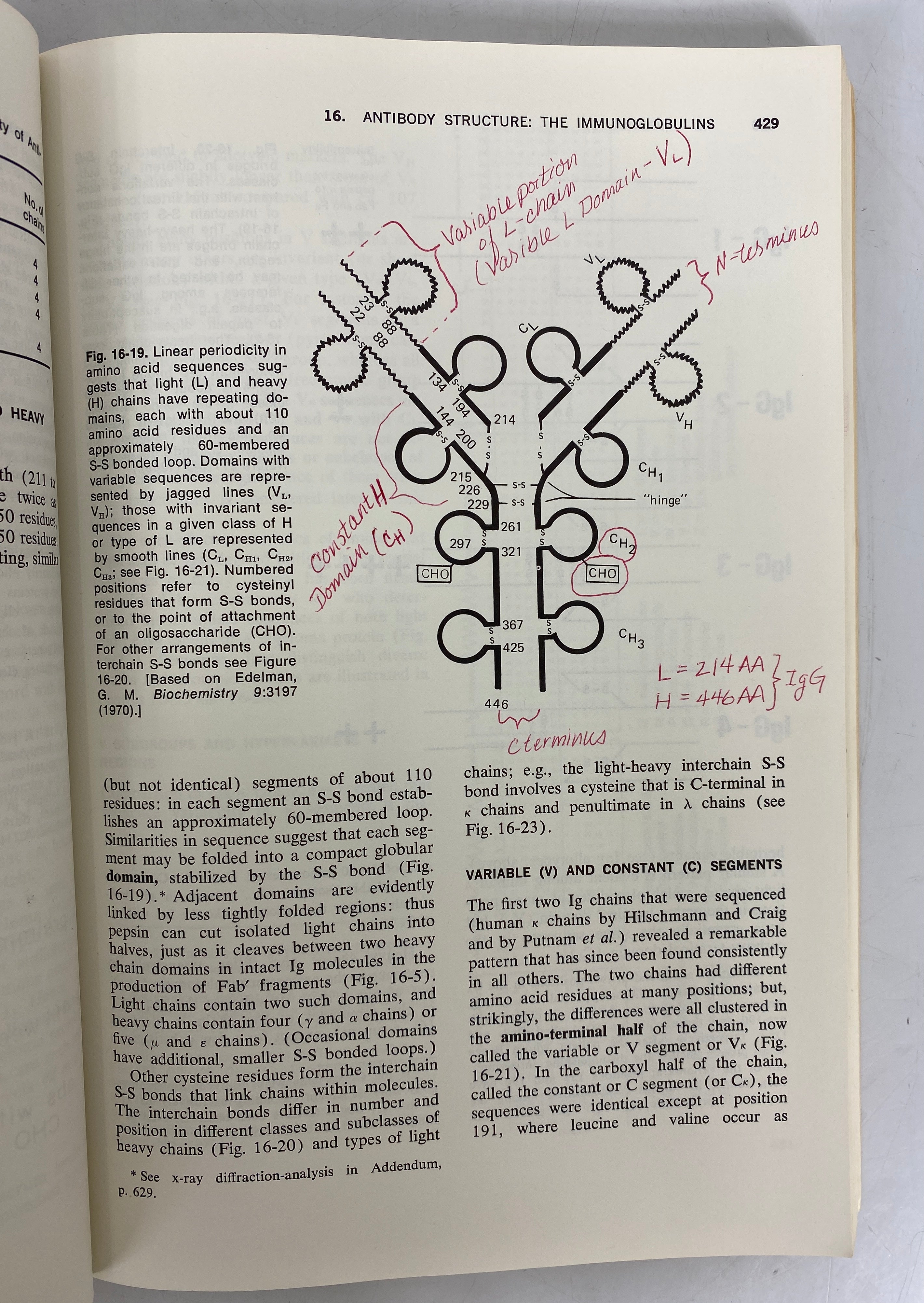 2 Vintage Texts: Immunology (Eisen)/Human Physiology (Macey) 1968-74 SC