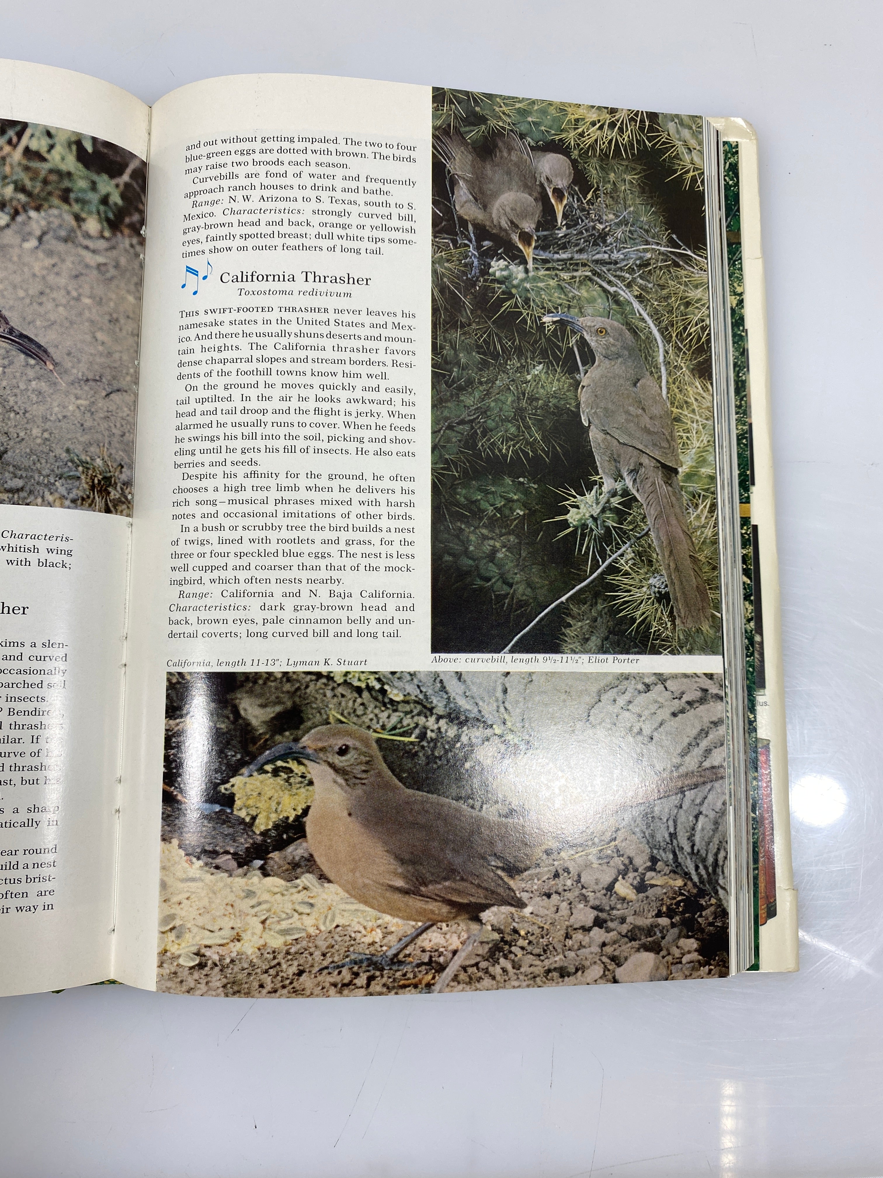 2 Vol Set: Birds of North America Nat Geographic Society w Slipcase 1973-75 HCDJ