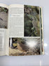 2 Vol Set: Birds of North America Nat Geographic Society w Slipcase 1973-75 HCDJ