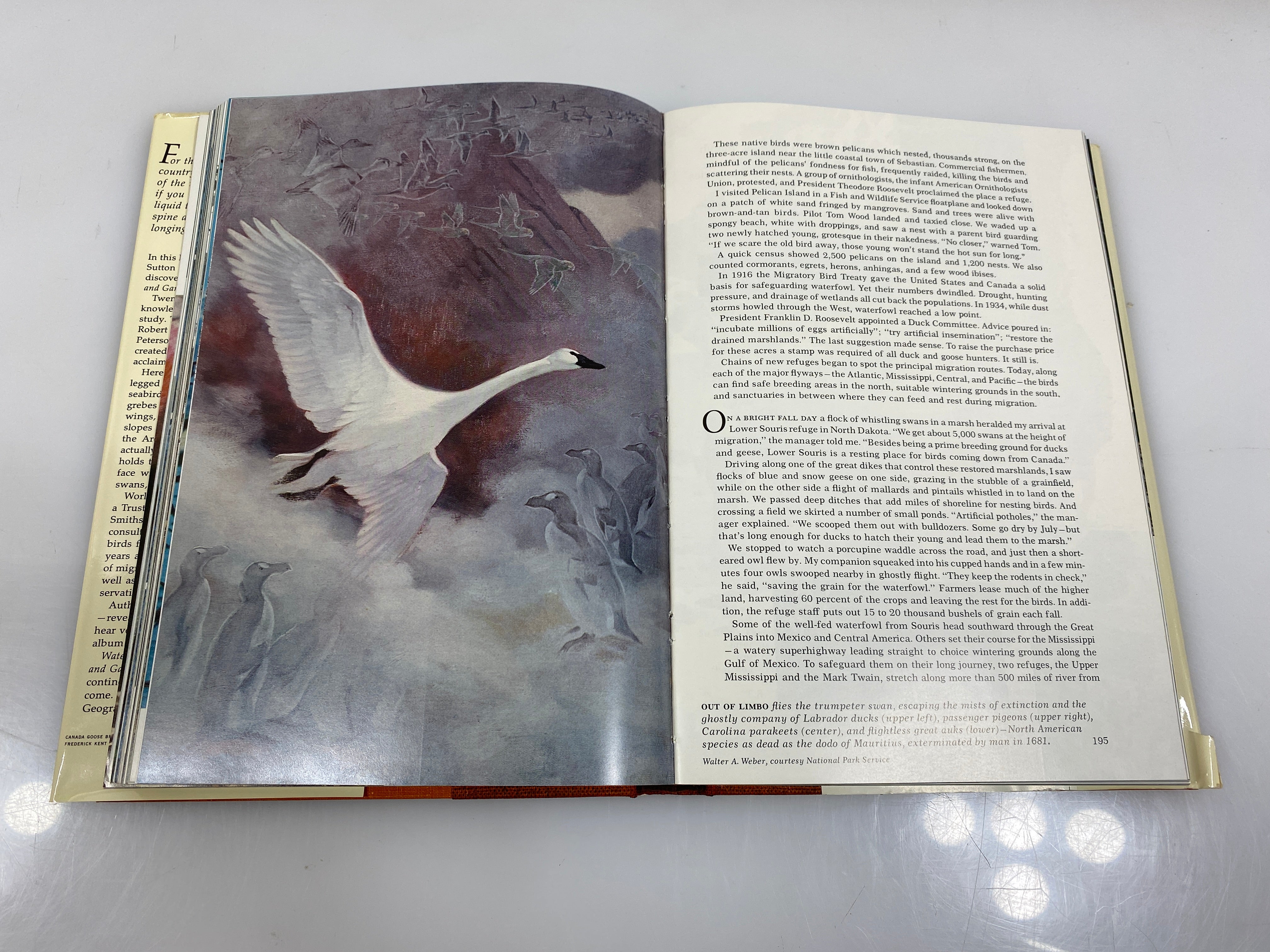 2 Vol Set: Birds of North America Nat Geographic Society w Slipcase 1973-75 HCDJ