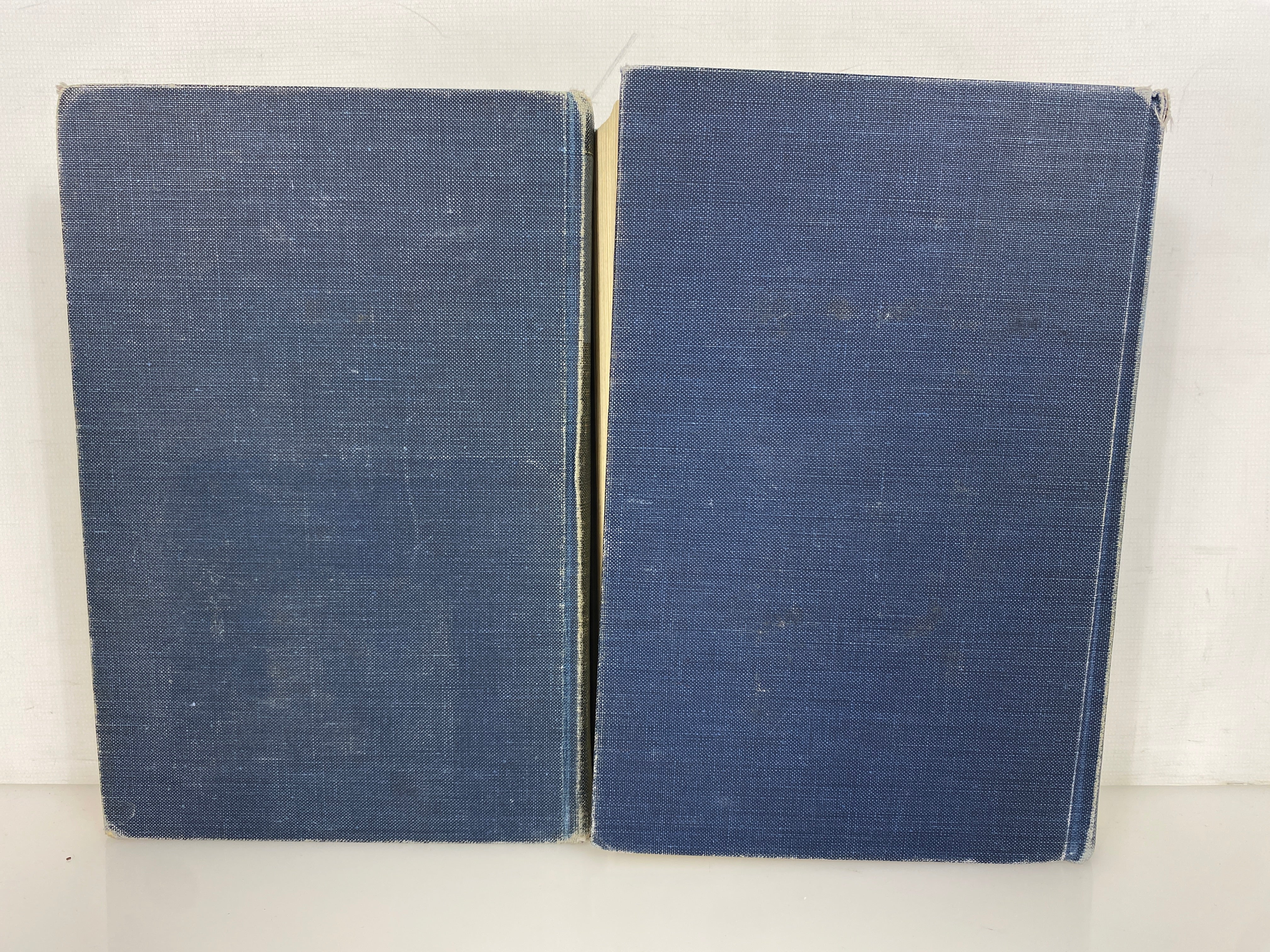 2 Vol Set: Types of Economic Theory by Wesley Mitchell 1967-69 Ex-Library HC