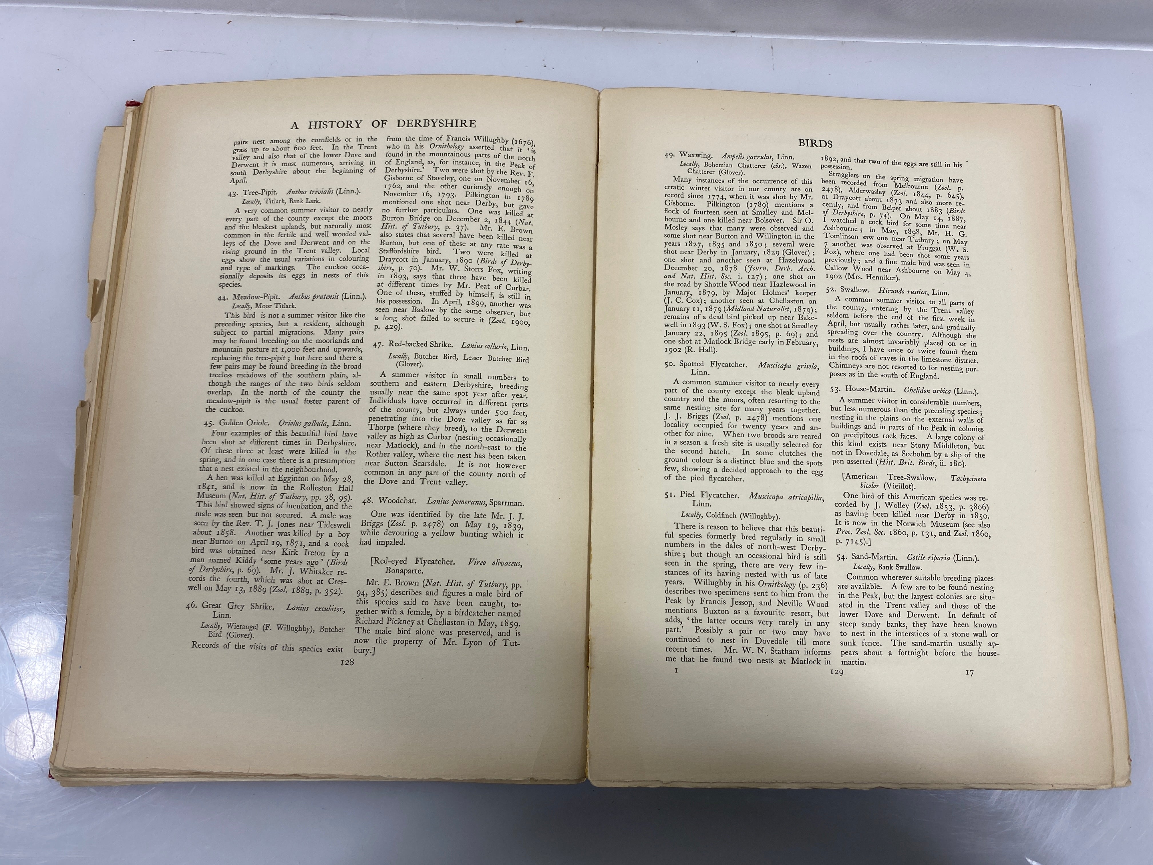 2 Vol. Set: History of the County of Derby 1905-07 Ex-Library HC