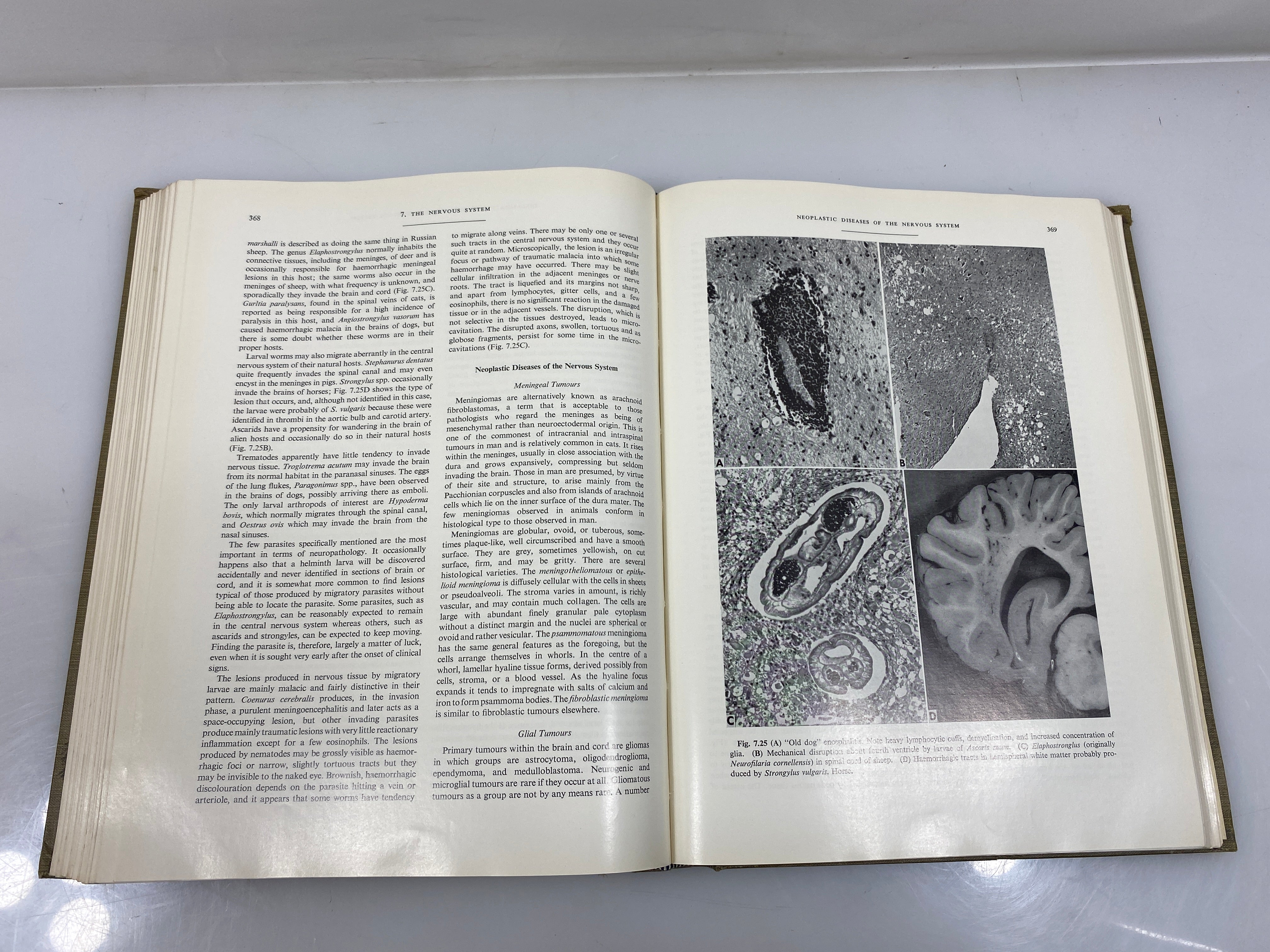 2 Vol. Set: Pathology of Domestic Animals by Jubb/Kennedy 1-2 Ex-libra 1965 HC