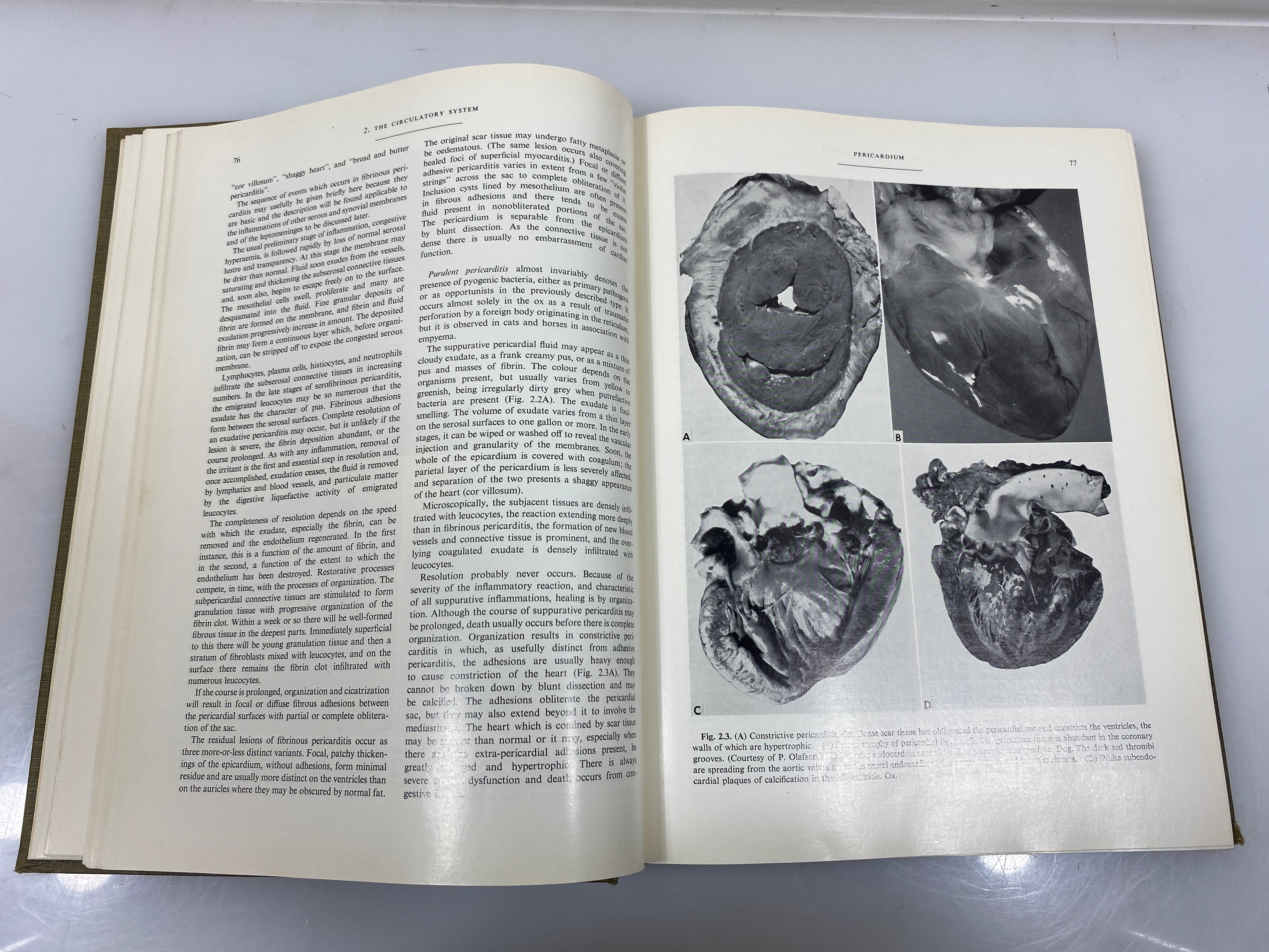 2 Vol. Set: Pathology of Domestic Animals by Jubb/Kennedy 1-2 Ex-libra 1965 HC