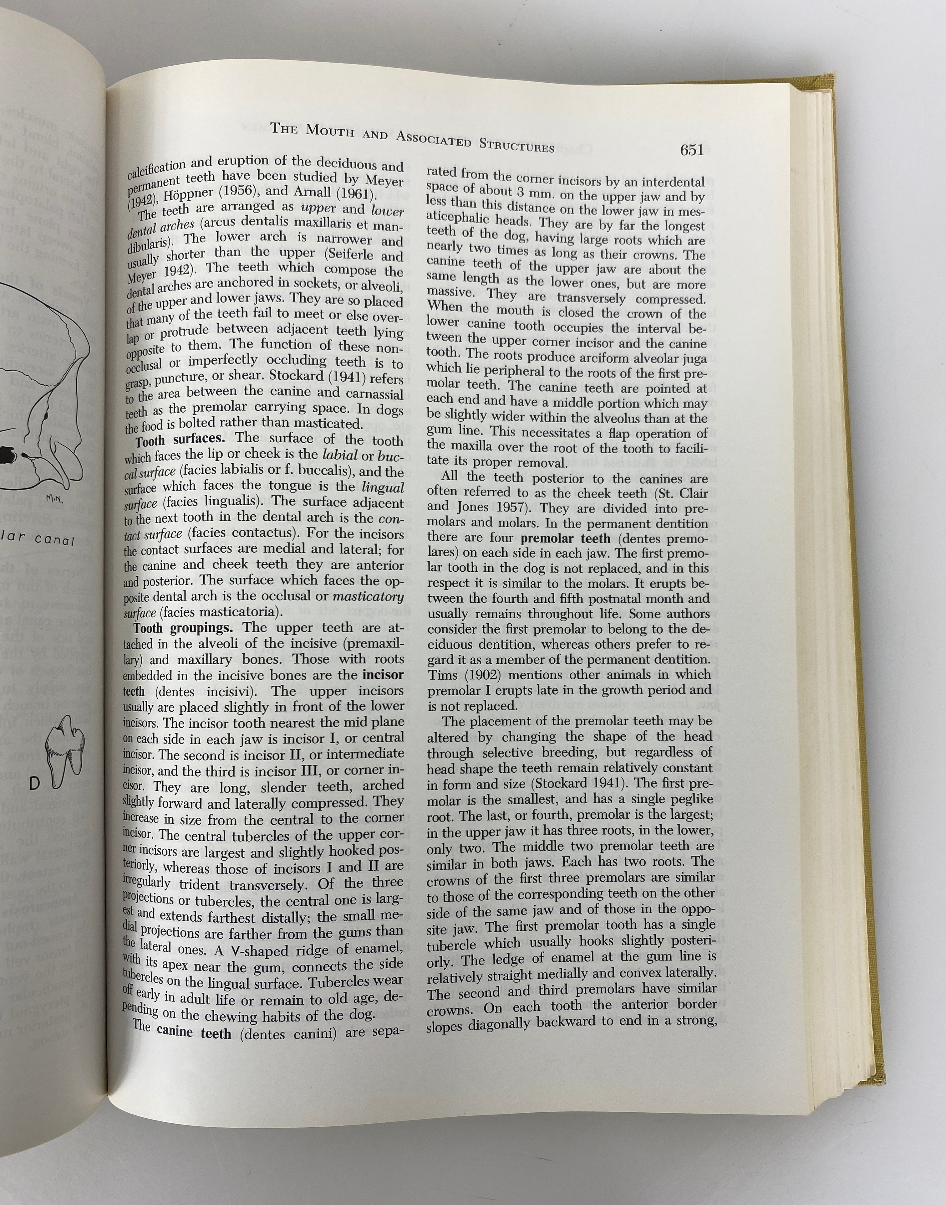 2 Vols: An Atlas of Canine Surgery/Anatomy of the Dog 1967-69 HC