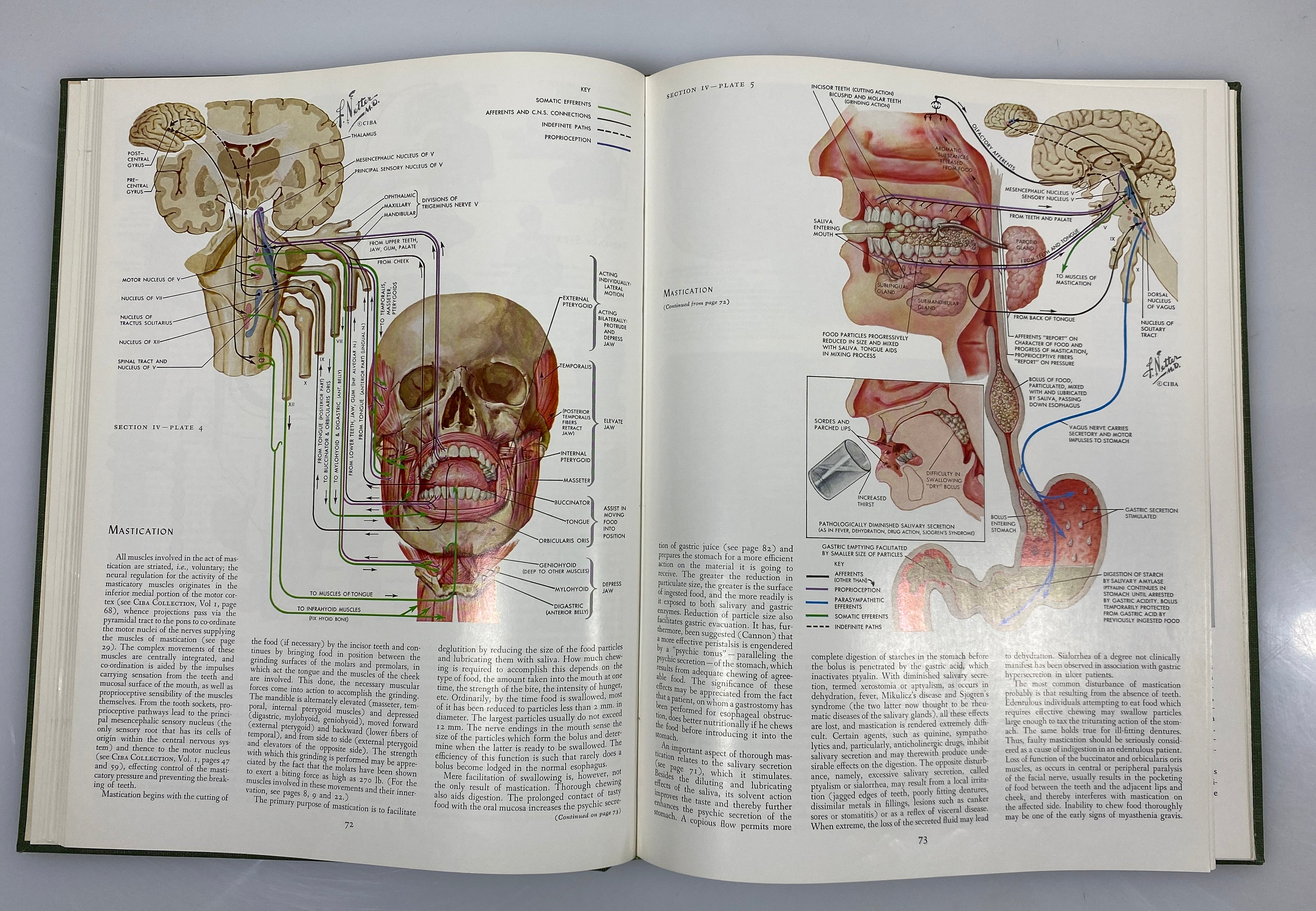2 Vols: CIBA Collection of Medical Illustrations Digestive System 1971 HC