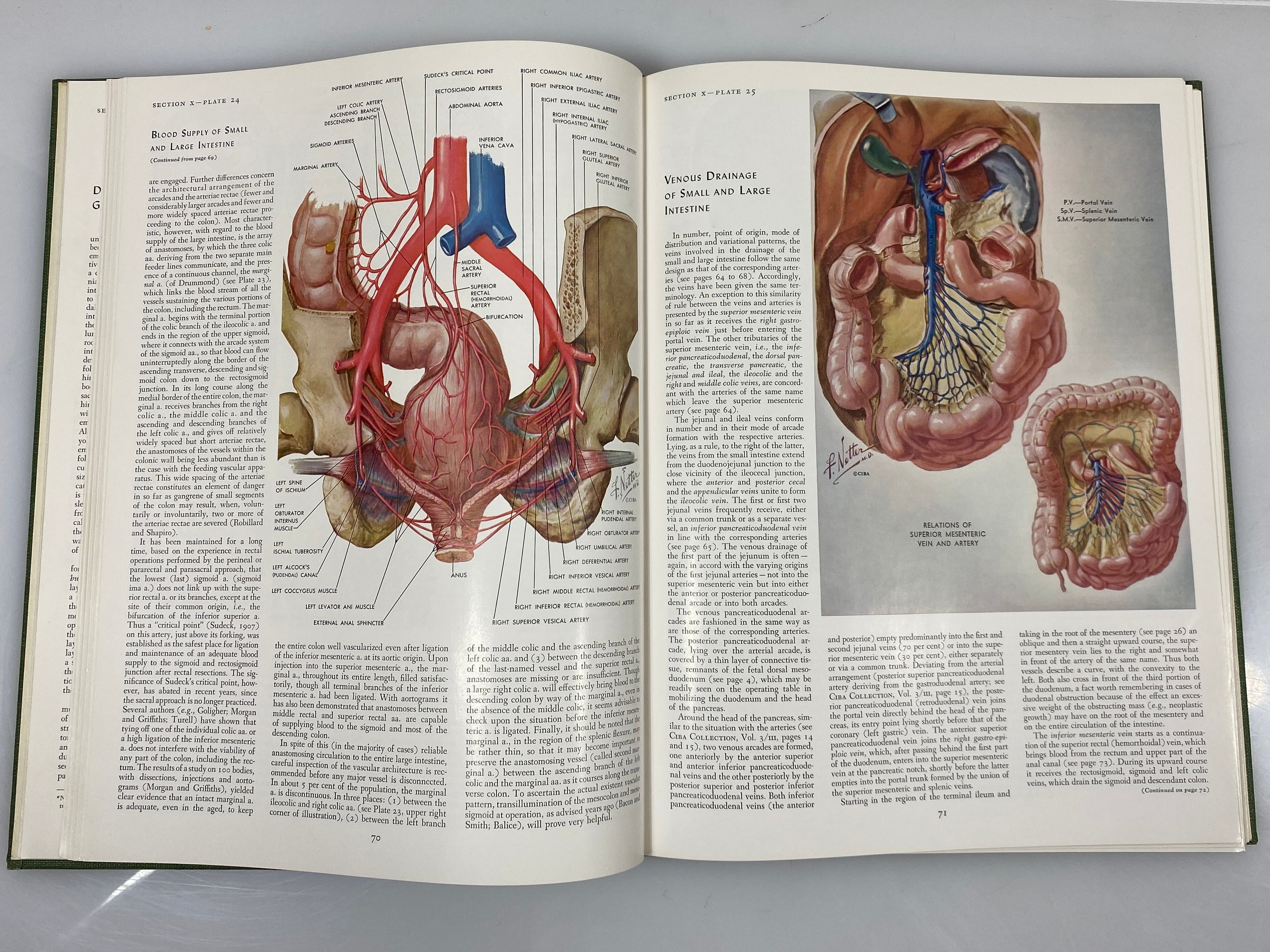 2 Vols: CIBA Collection of Medical Illustrations Digestive System 1971 HC