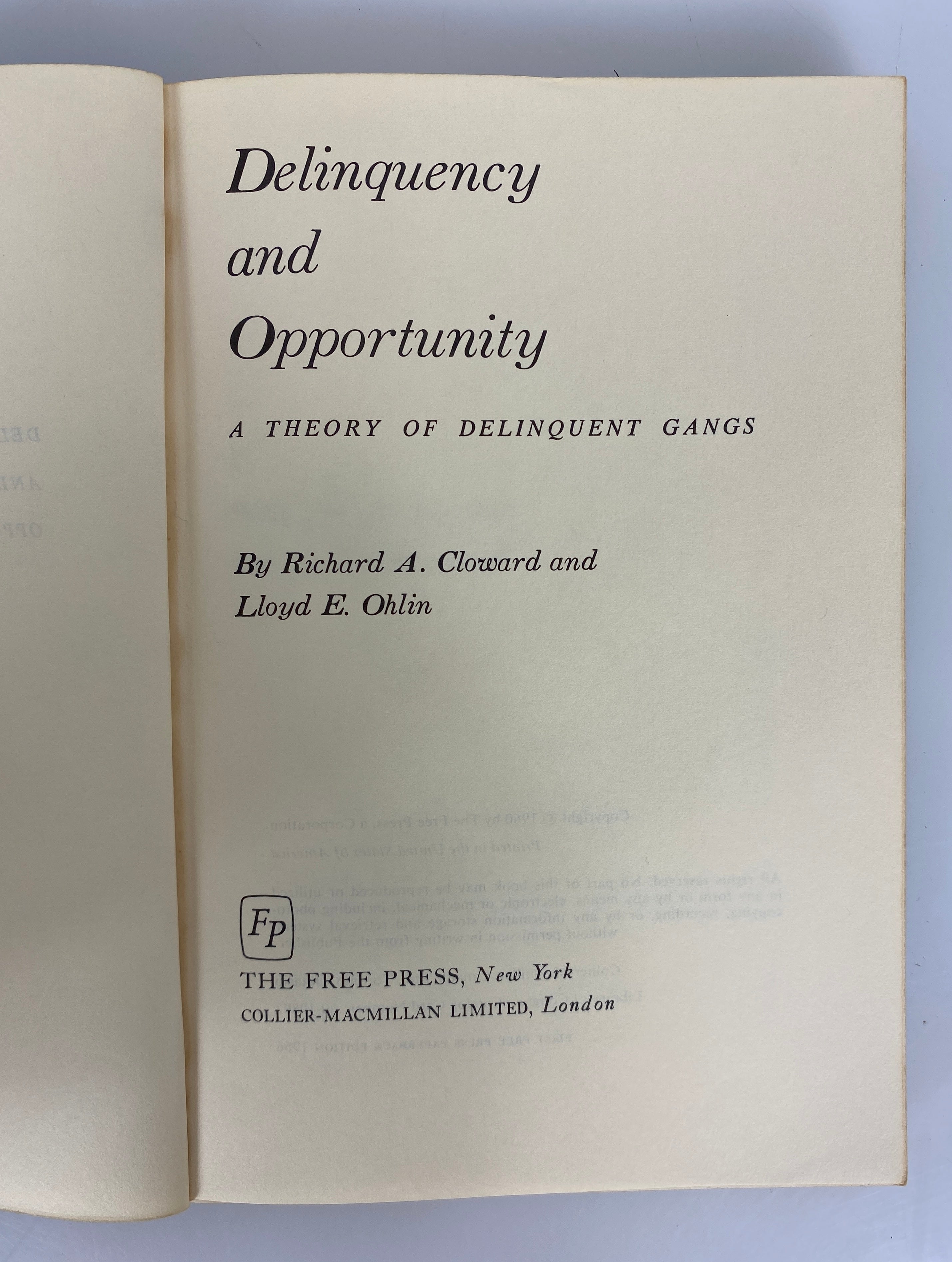 2 Vols: Delinquency & Opportunity/Children & Poverty 1966-69 Vintage SC