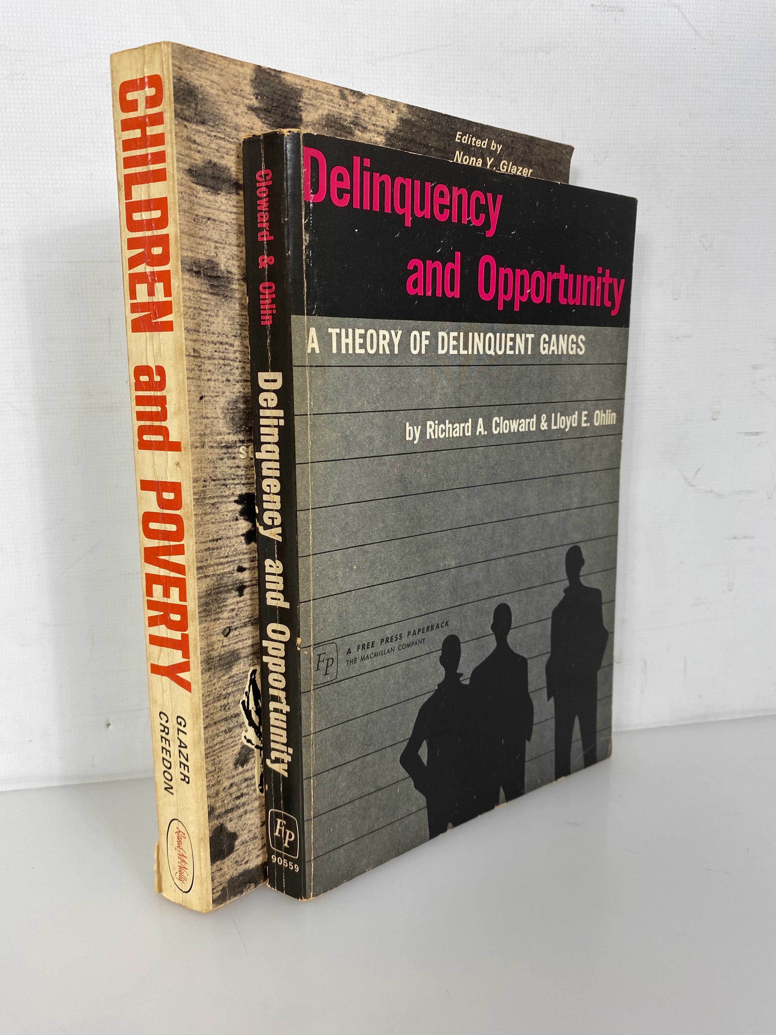 2 Vols: Delinquency & Opportunity/Children & Poverty 1966-69 Vintage SC