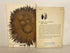 2 Vols: Ecology (Odum)/The Human Use of the Earth (Wagner) 1963-68 SC
