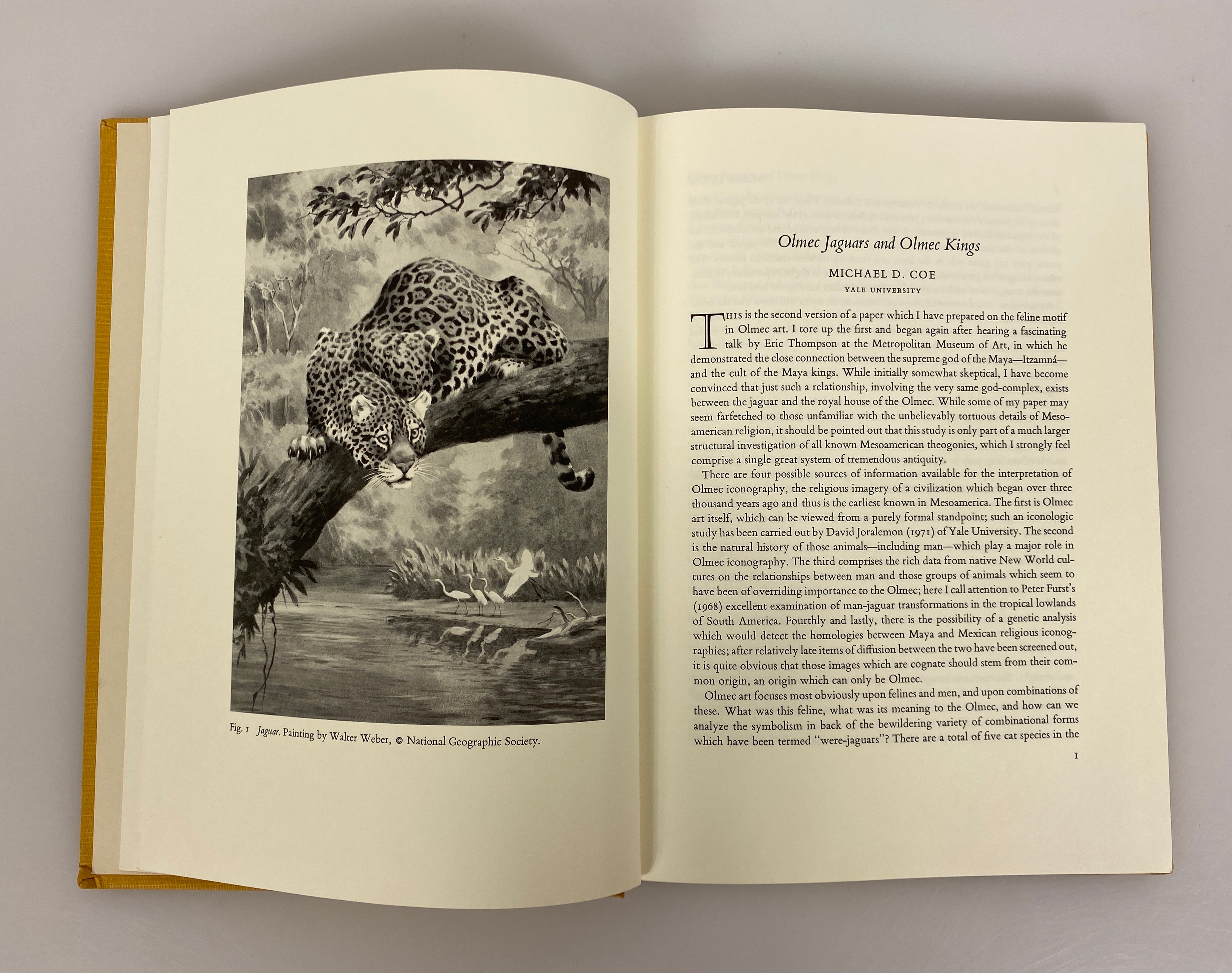 2 Vols: Essays in Pre-Columbian Art & Archaeology/The Cult of the Feline HC