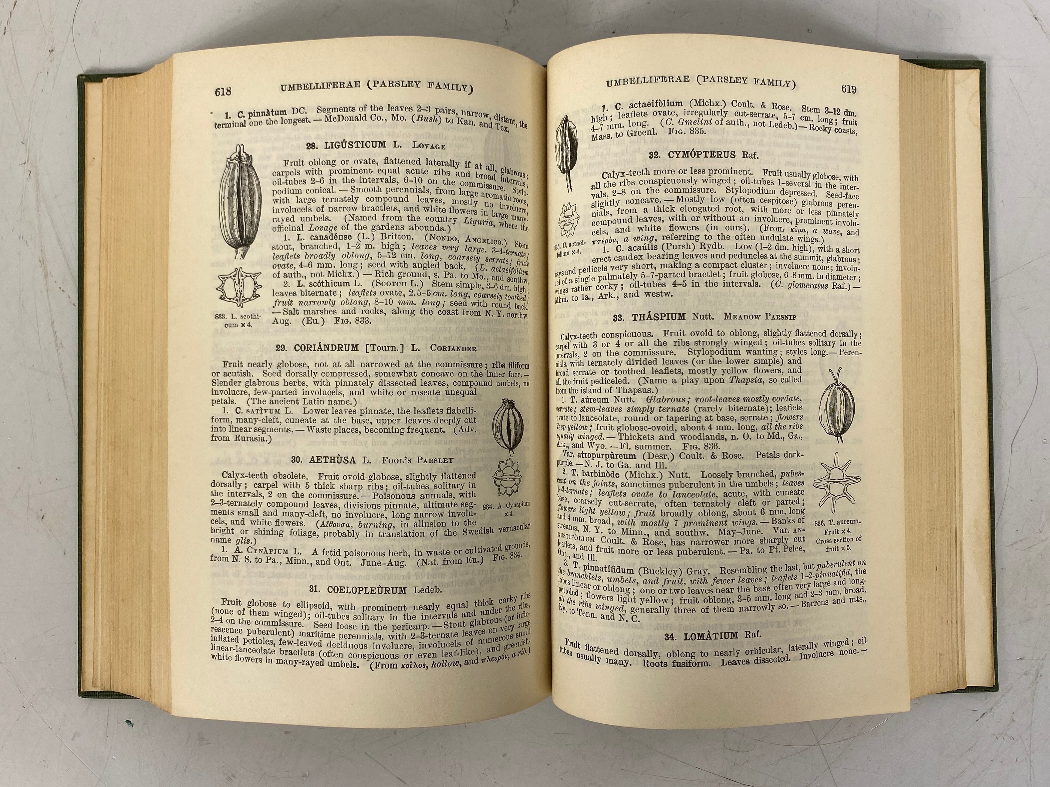 2 Vols: Gray's Handbook of Flowering Plants & Ferns 1908/The Modern Nursery 1938