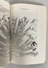 2 Vols: Living Prehistory (McKern)/Evolution of the Genus Homo (Howells) SC