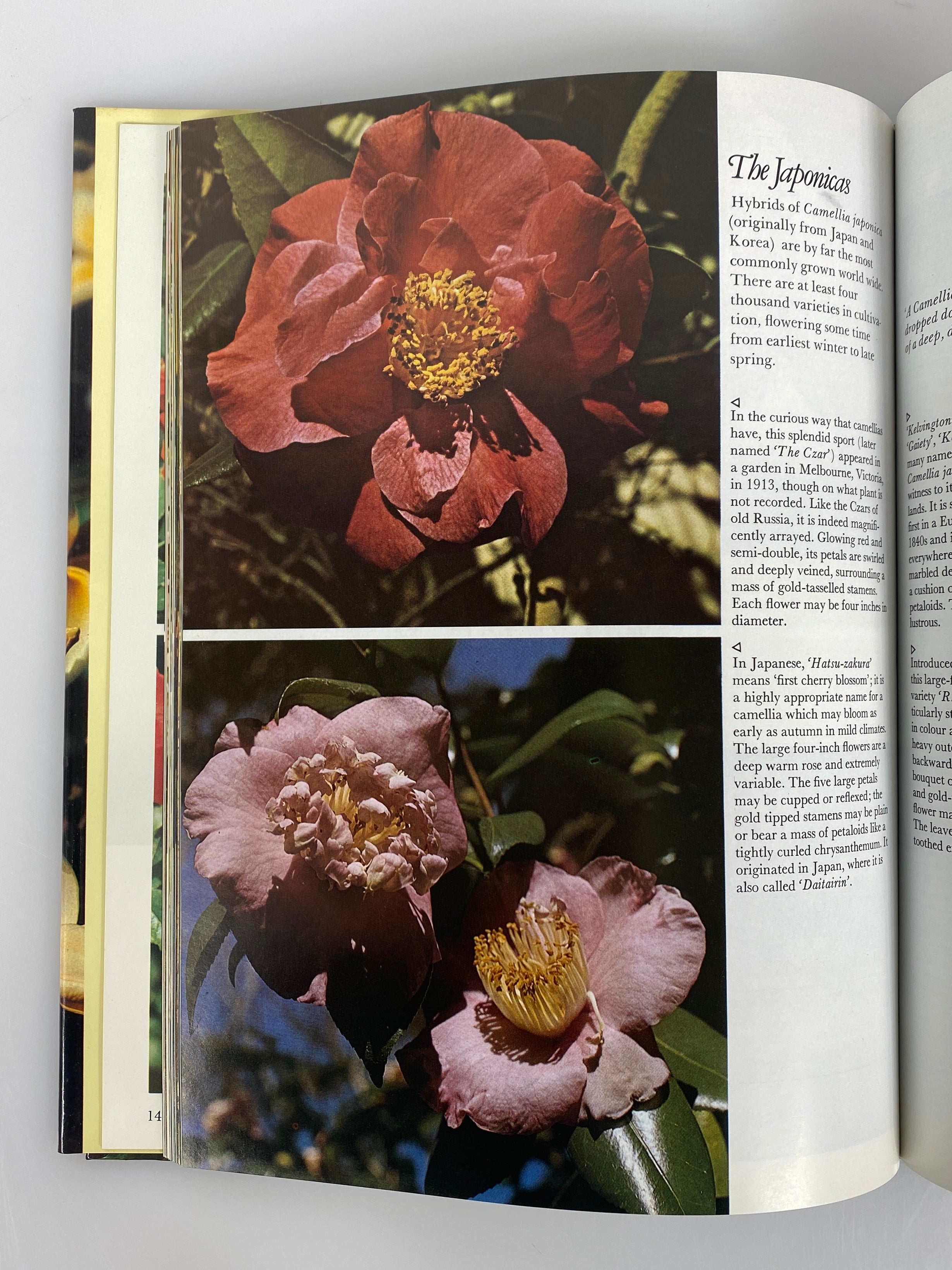 2 Vols: The Complete Guide to Garden Flowers/The Joy of Flowers HC DJ
