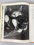 2 Vols: The World of Cats (1968)/Cats Cats Cats Cats (1968) Vintage HC DJ