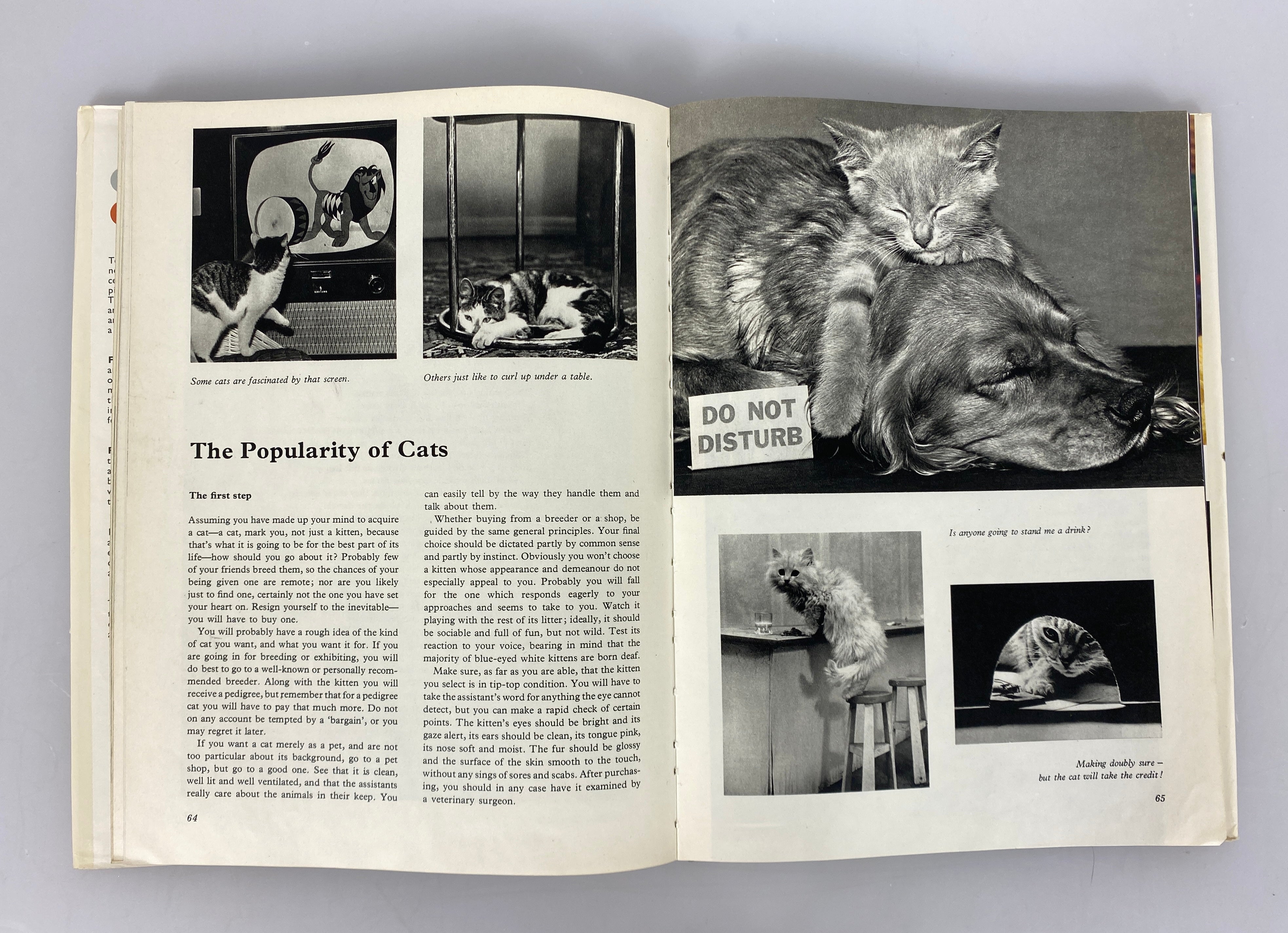 2 Vols: The World of Cats (1968)/Cats Cats Cats Cats (1968) Vintage HC DJ