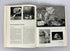2 Vols: The World of Cats (1968)/Cats Cats Cats Cats (1968) Vintage HC DJ