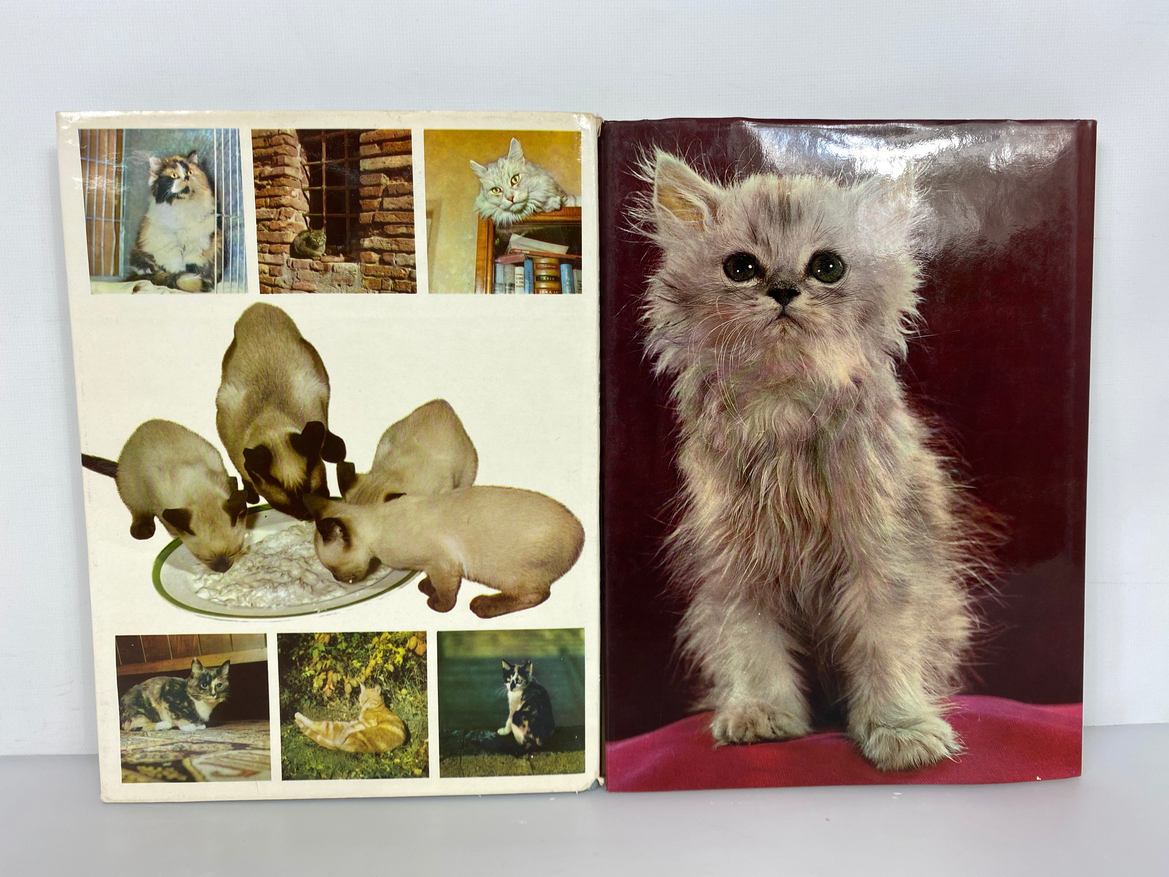 2 Vols: The World of Cats (1968)/Cats Cats Cats Cats (1968) Vintage HC DJ