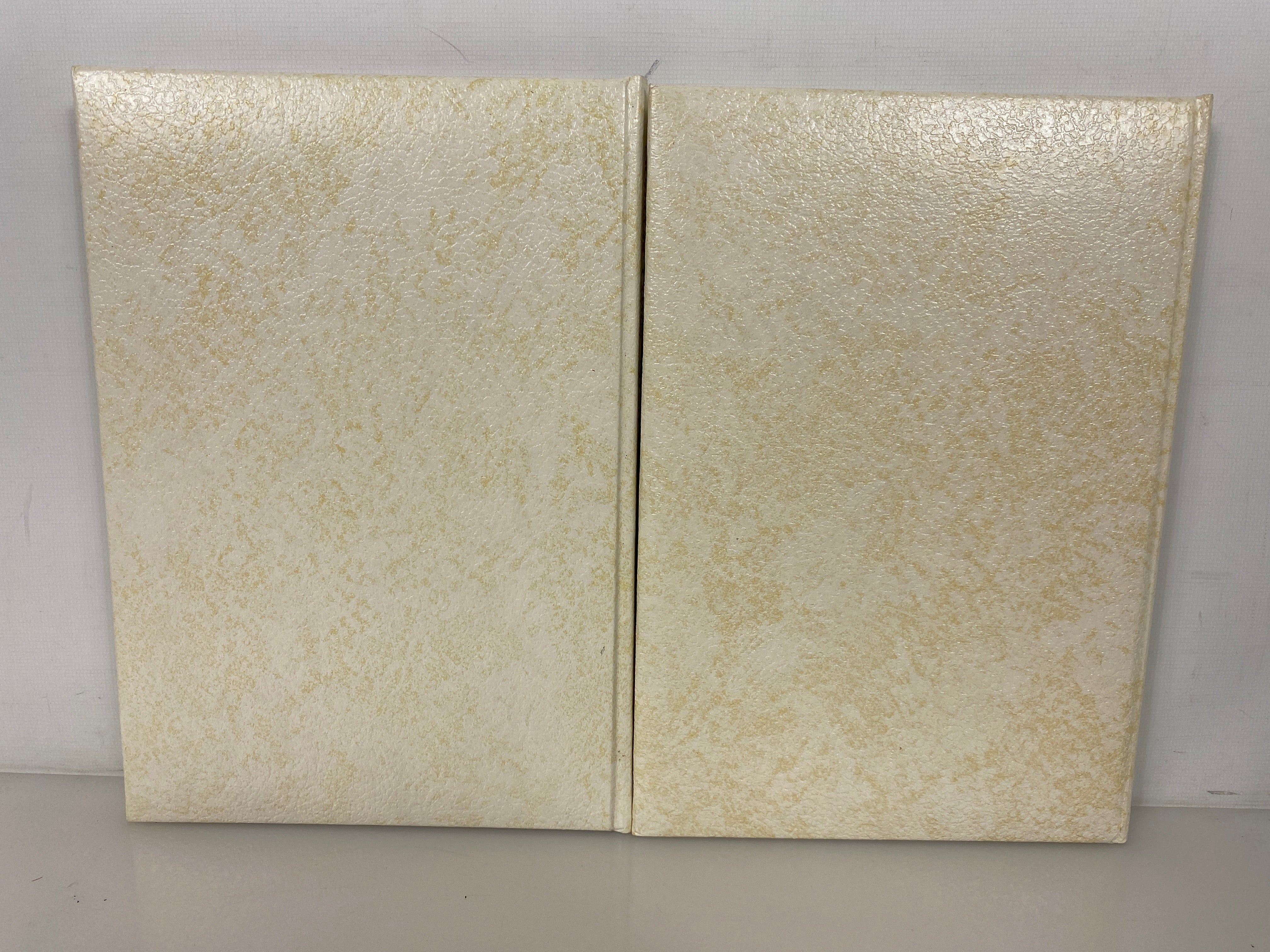 2 Volumes: Someone Cares/Loving Promises Helen Steiner Rice Keepsake Editions