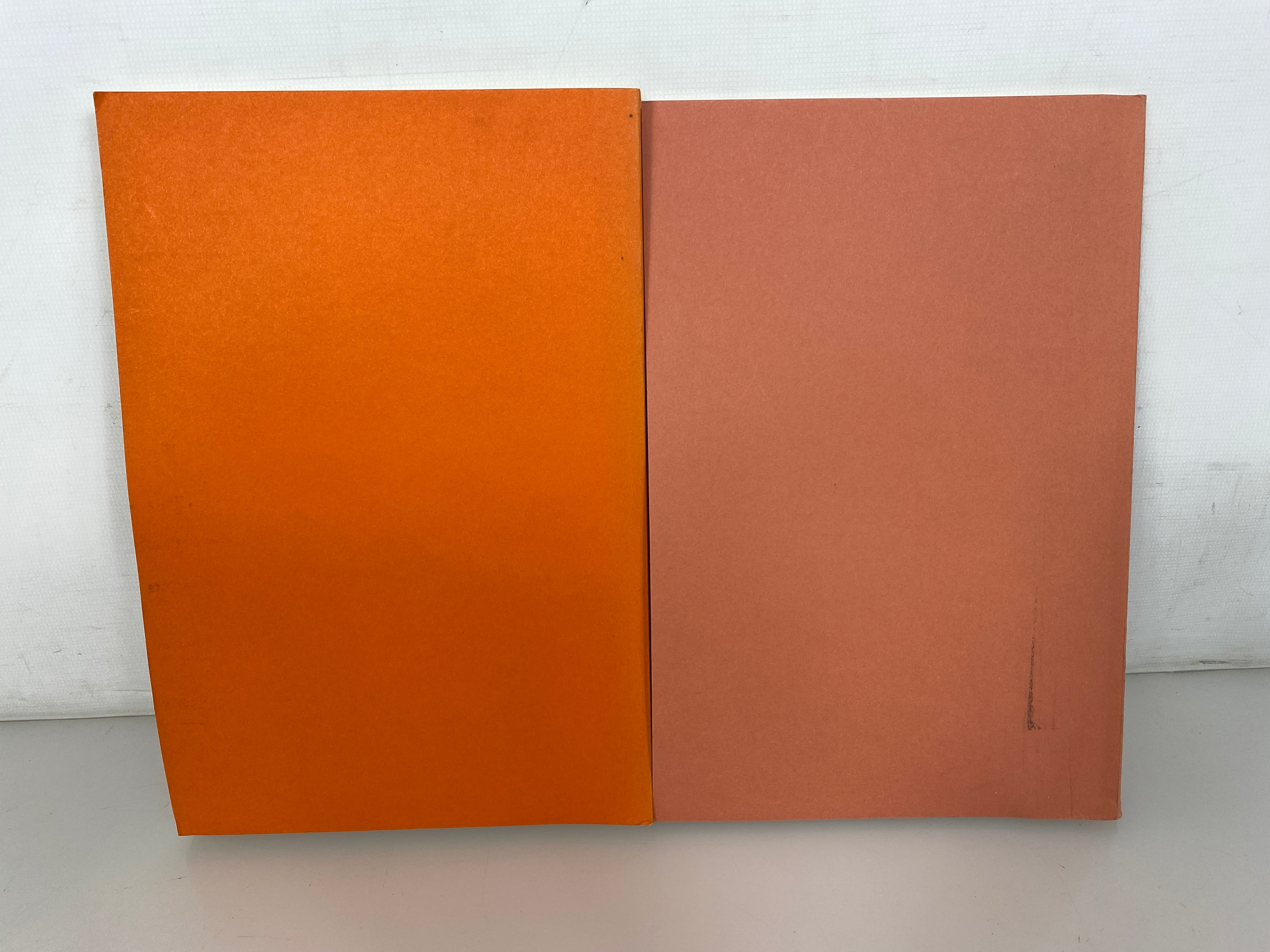 2 Volumes: Urban Anthropology Vol 8 & 10 1979-1981 SC Journals