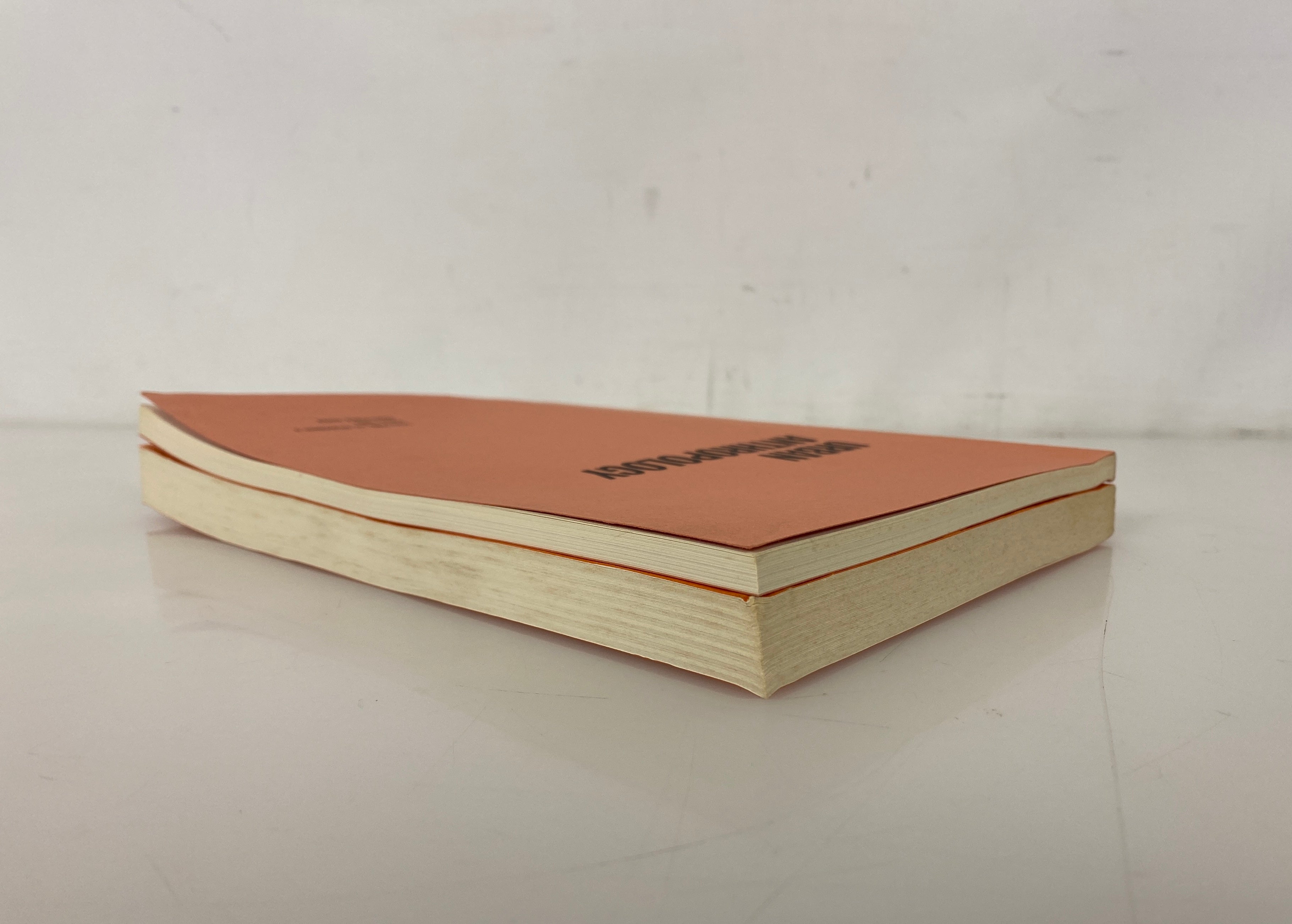 2 Volumes: Urban Anthropology Vol 8 & 10 1979-1981 SC Journals