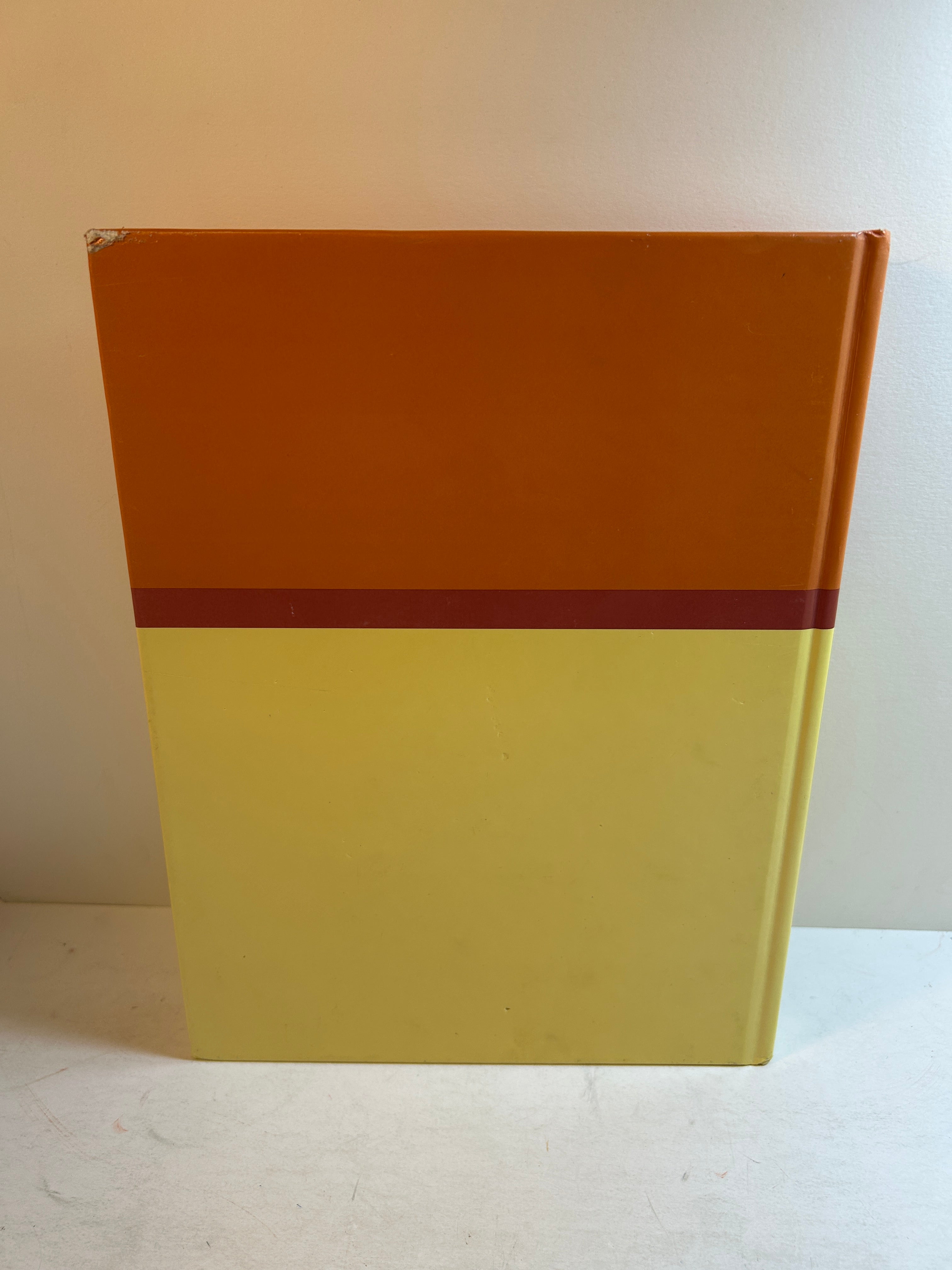 2002 "Ceniad" East Lansing High School Yearbook HC