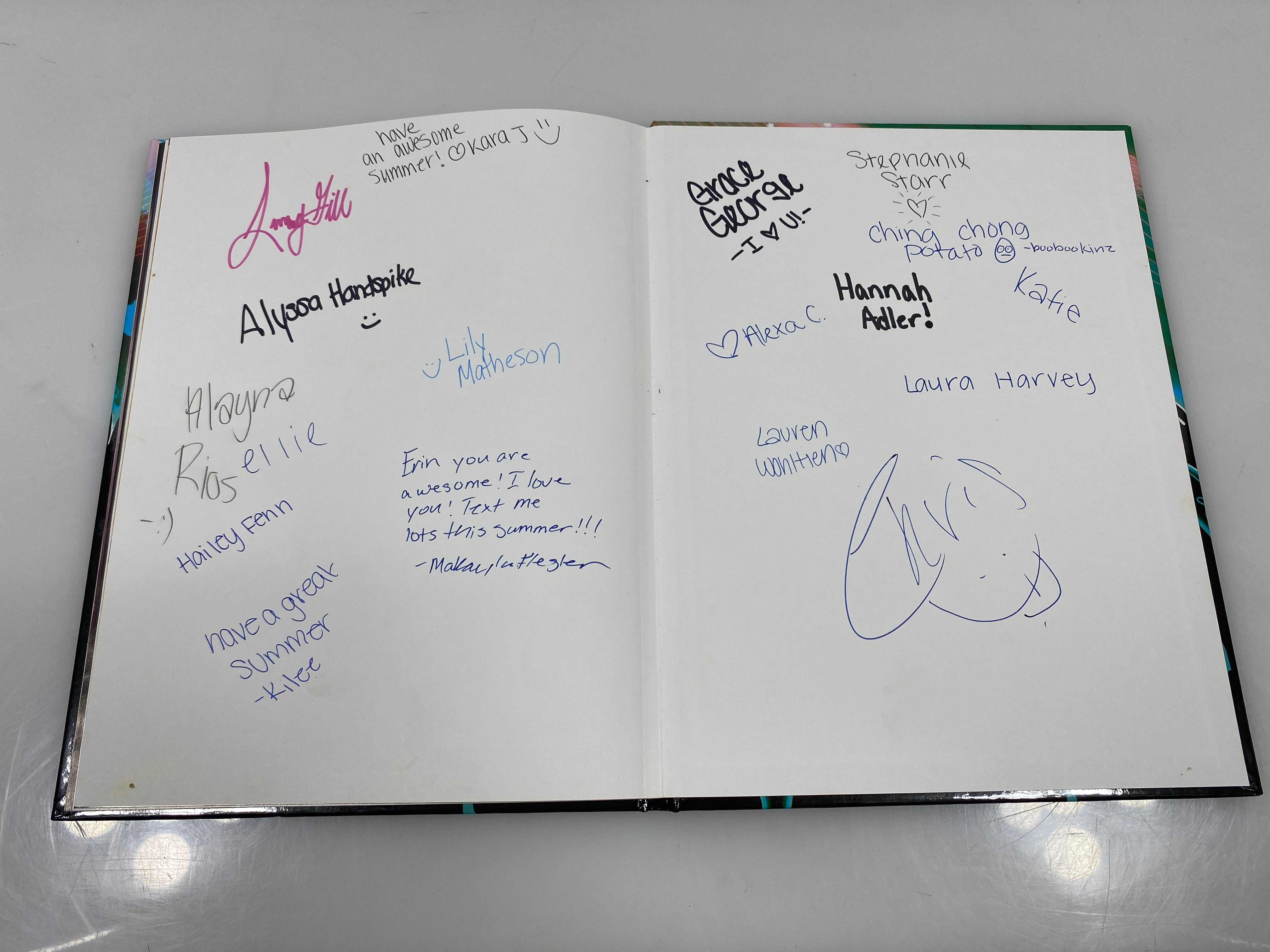 2013 DeWitt Junior High School Yearbook DeWitt, MI HC