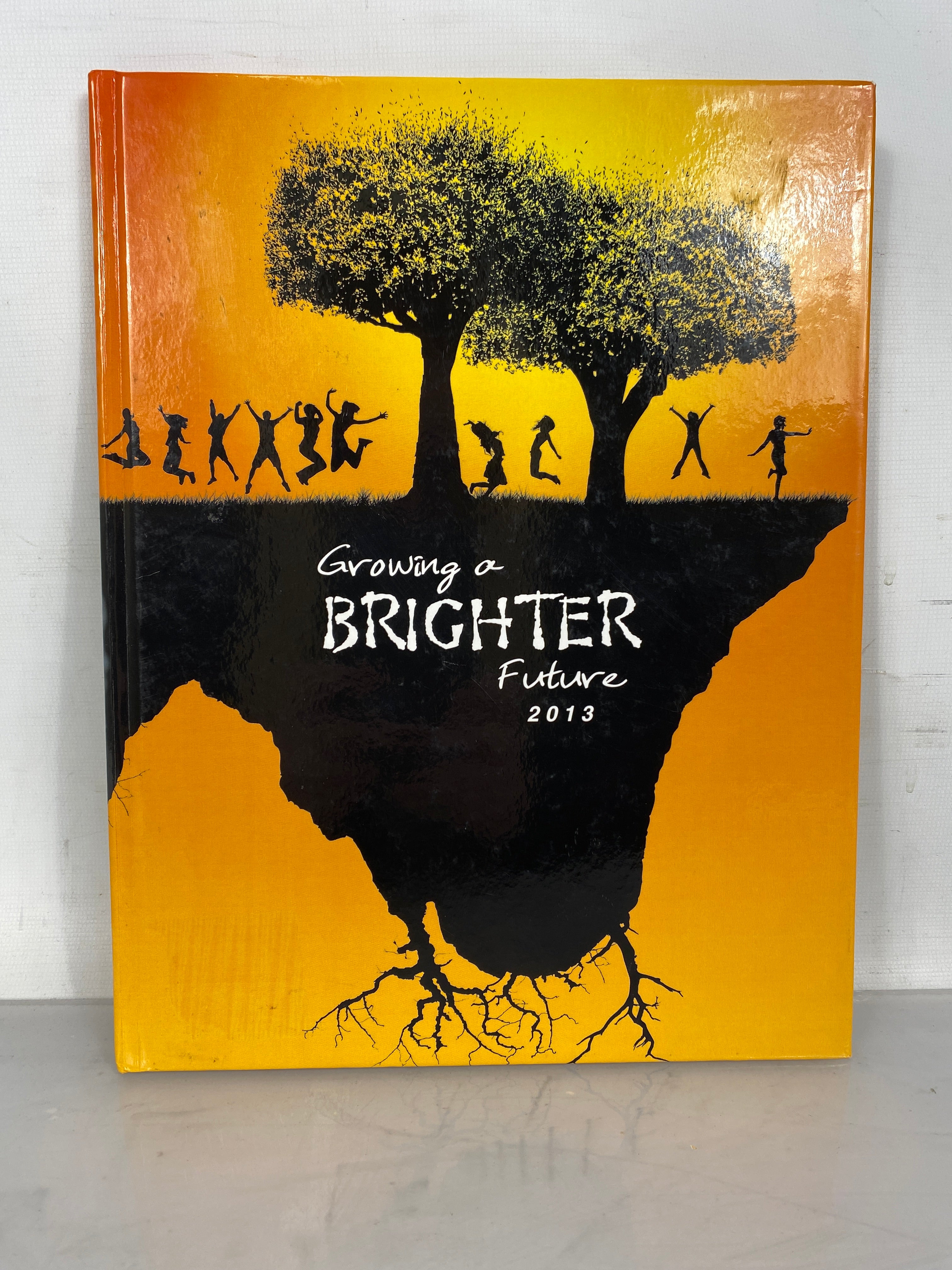 2013 Franklin High School Yearbook Girard Campus Coldwater Michigan HC