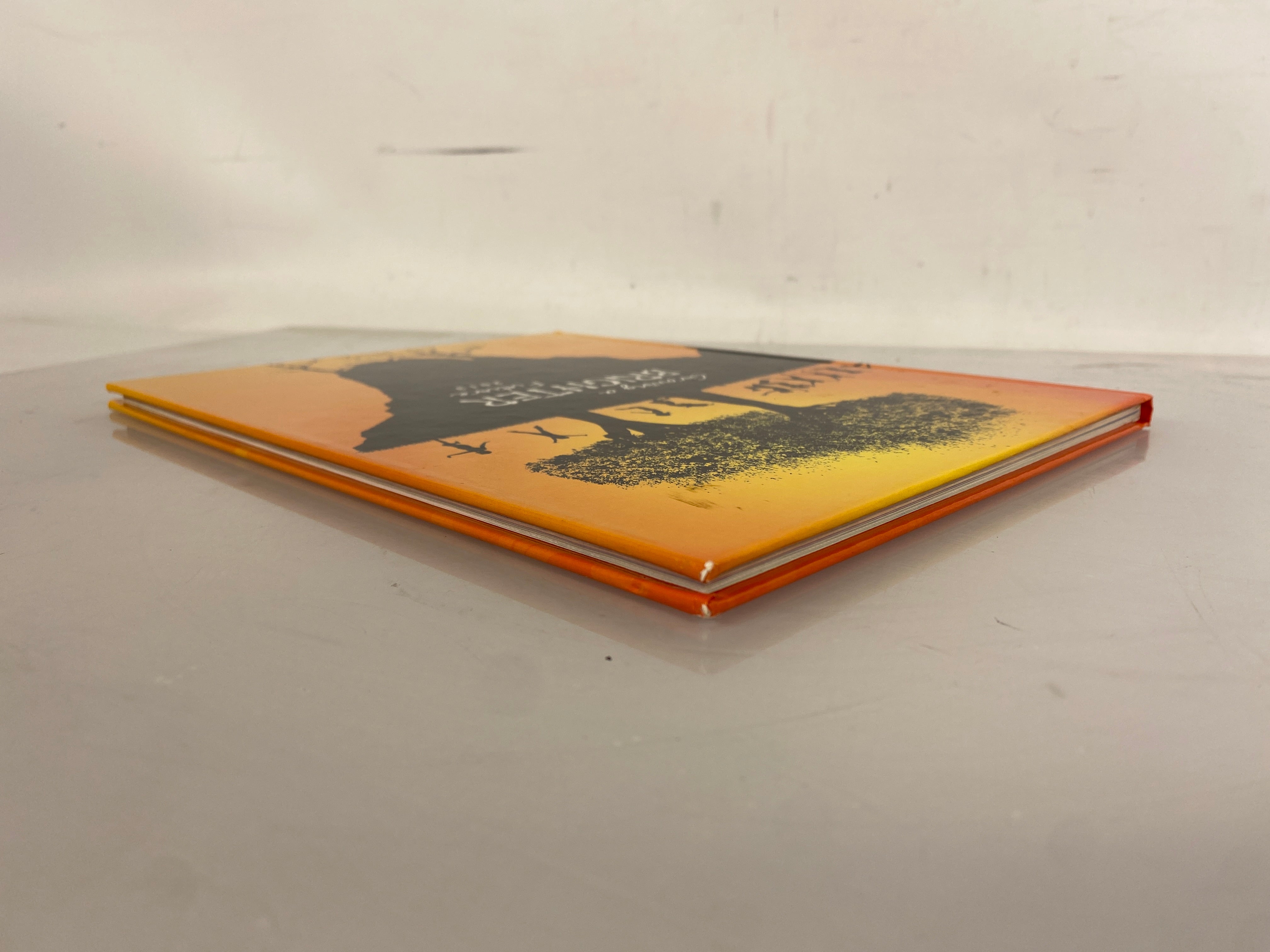 2013 Franklin High School Yearbook Girard Campus Coldwater Michigan HC