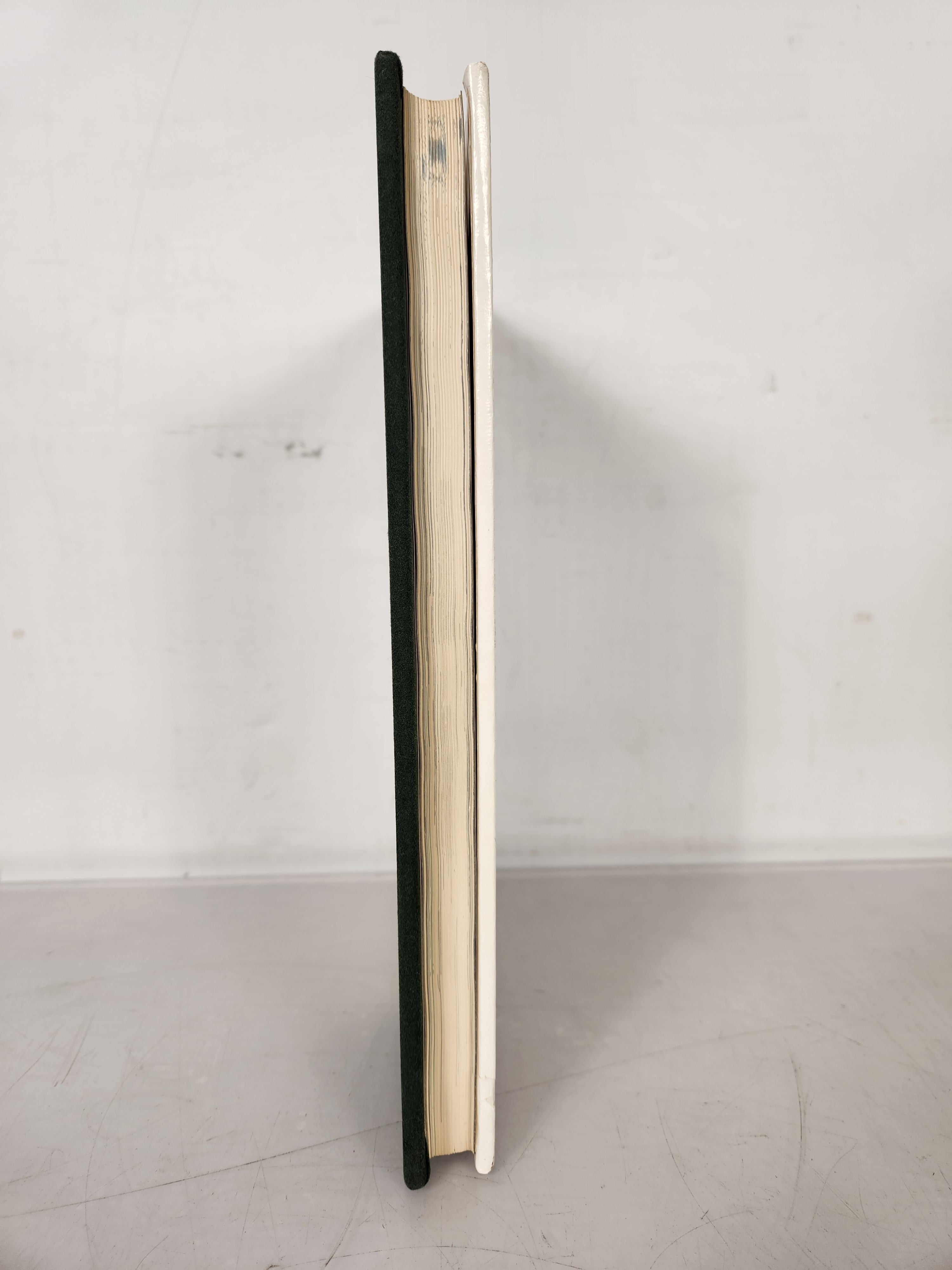 1985 Michigan State University Yearbook Red Cedar Log