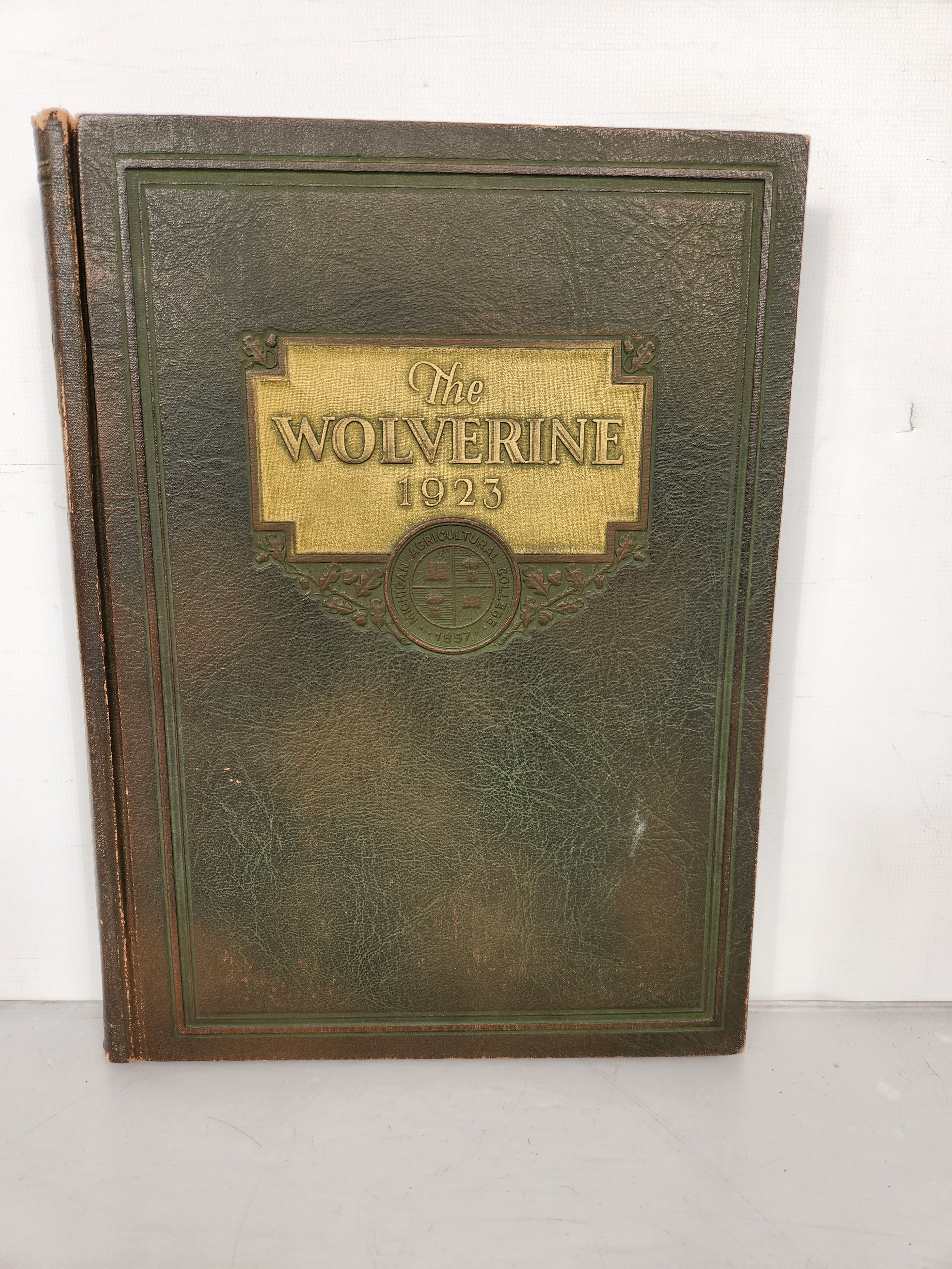 1923 Michigan Agricultural College Yearbook Wolverine