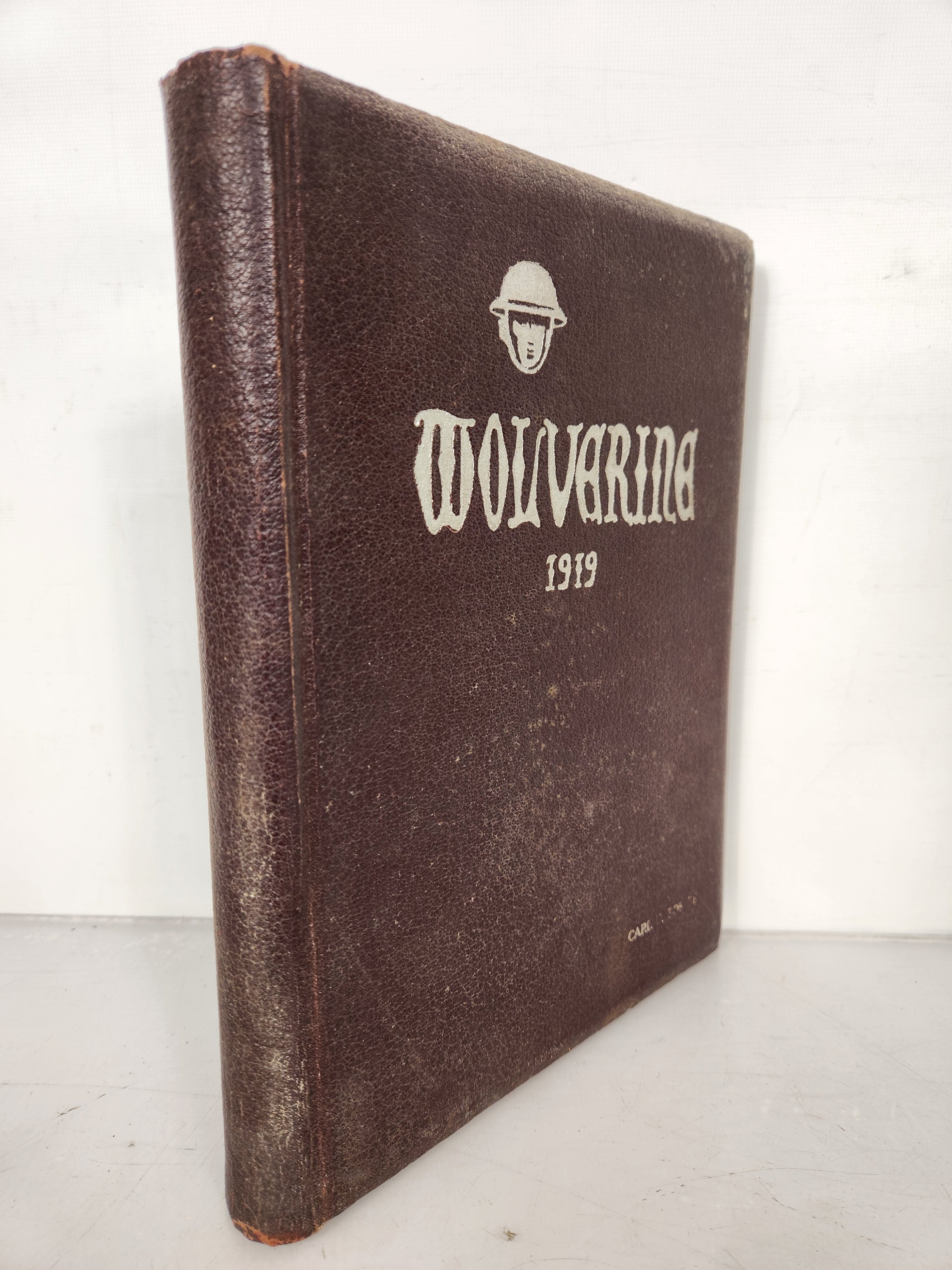 1919 Michigan Agricultural College Yearbook Wolverine