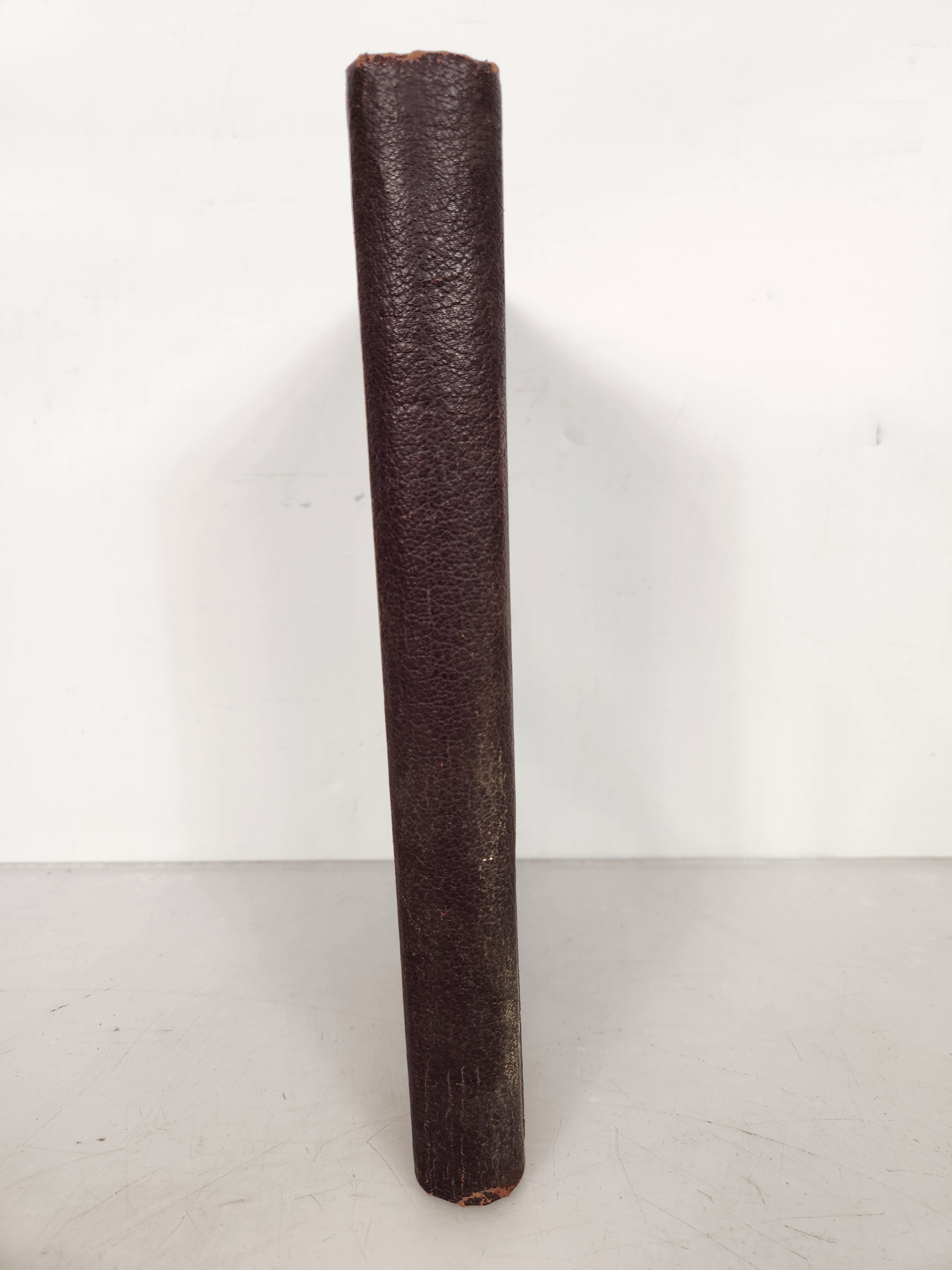 1919 Michigan Agricultural College Yearbook Wolverine