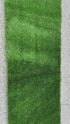 MSU Football Practice Field Turf #11