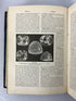 3 Antique Volumes: Hill's Practical Reference Library 1903 (I/II/IV) HC