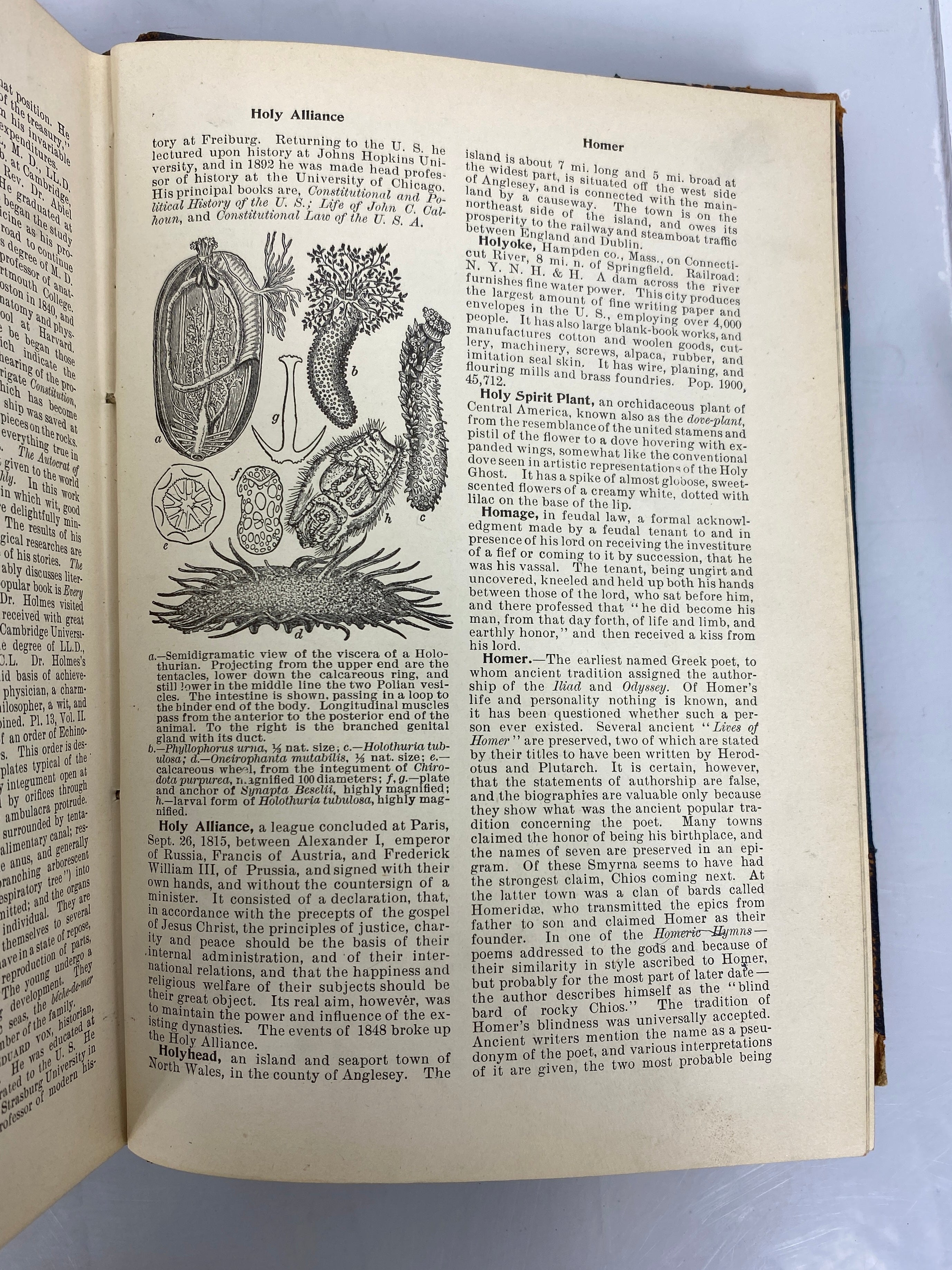 3 Antique Volumes: Hill's Practical Reference Library 1903 (I/II/IV) HC